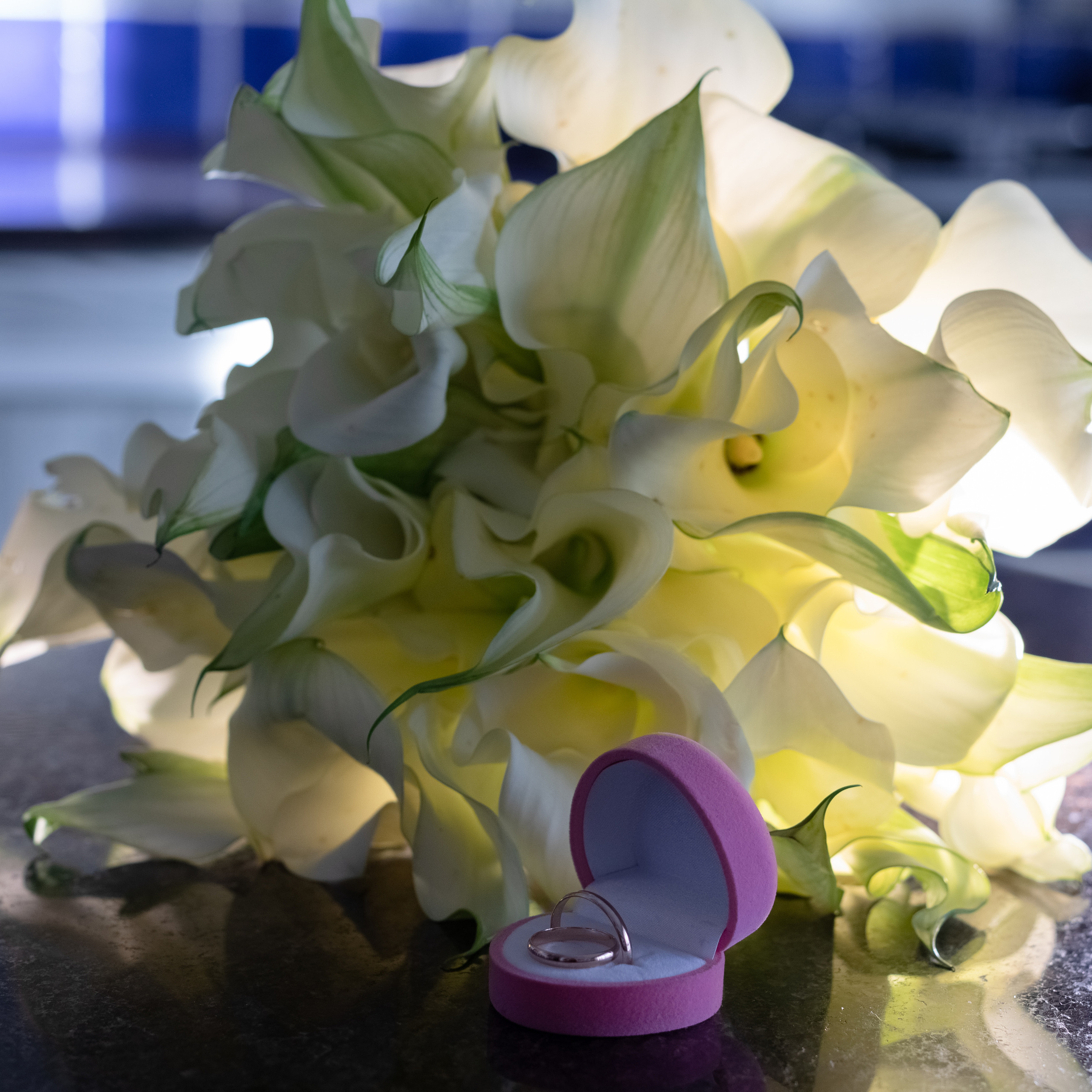 Алексей и Елена