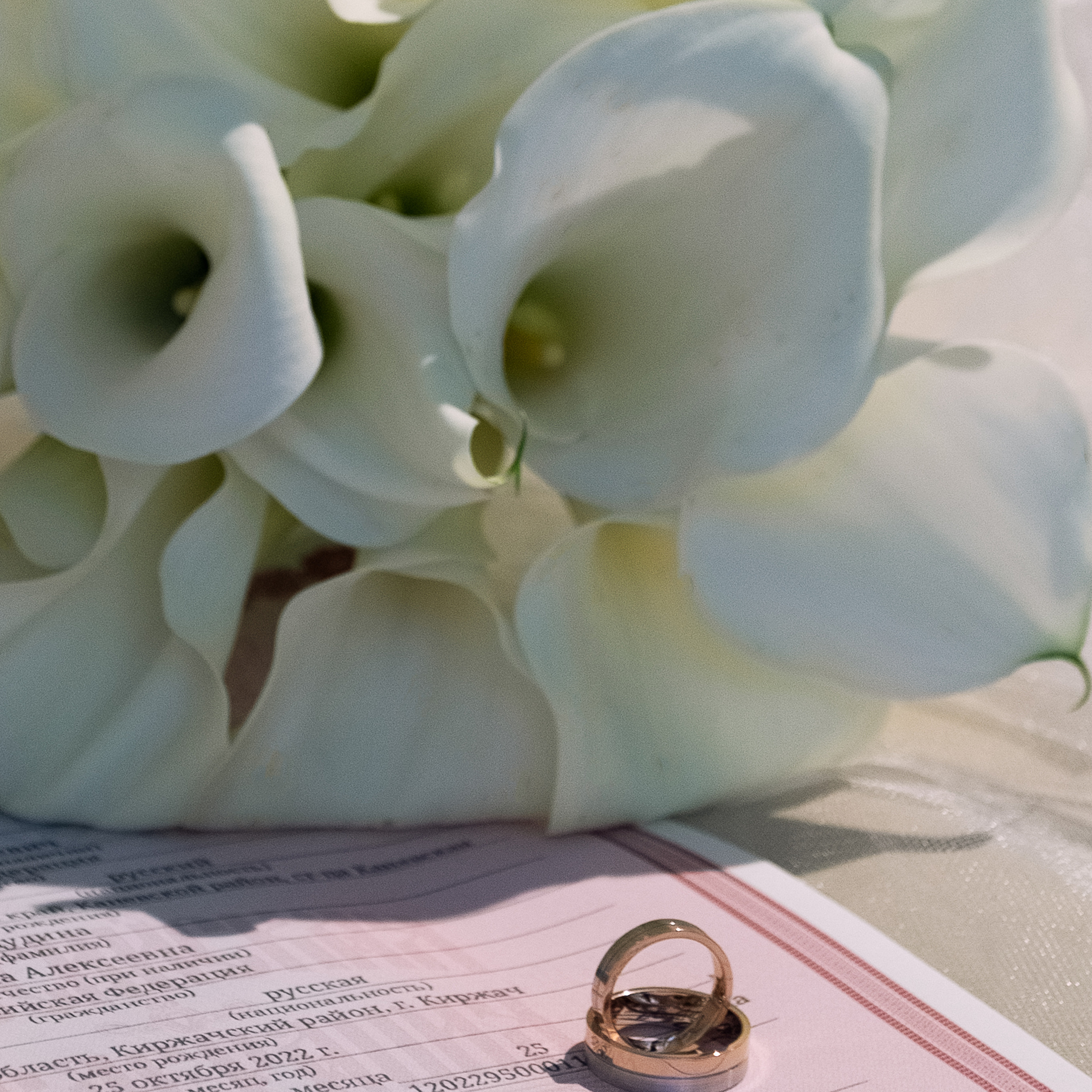 Свадьба Николай и Анна