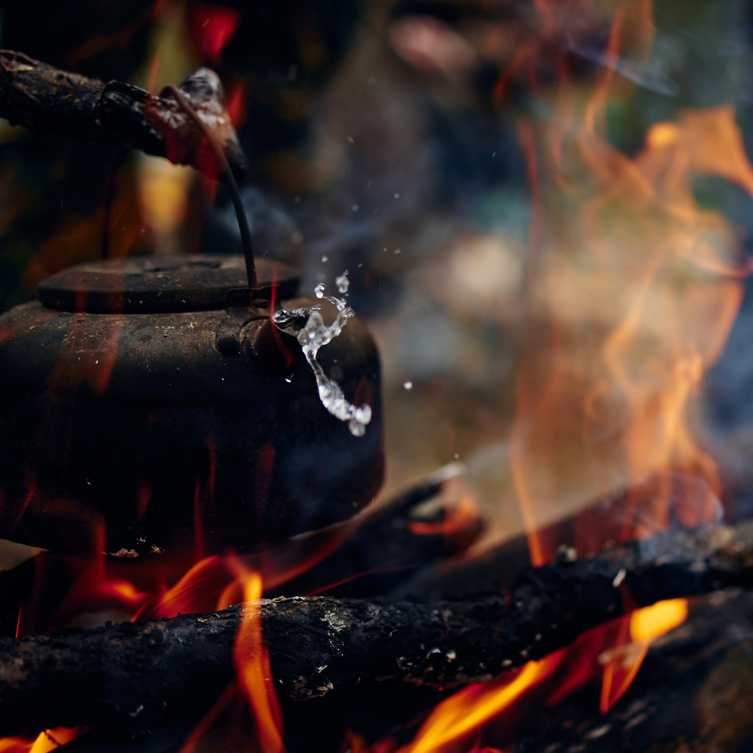 Сплав Нугуш