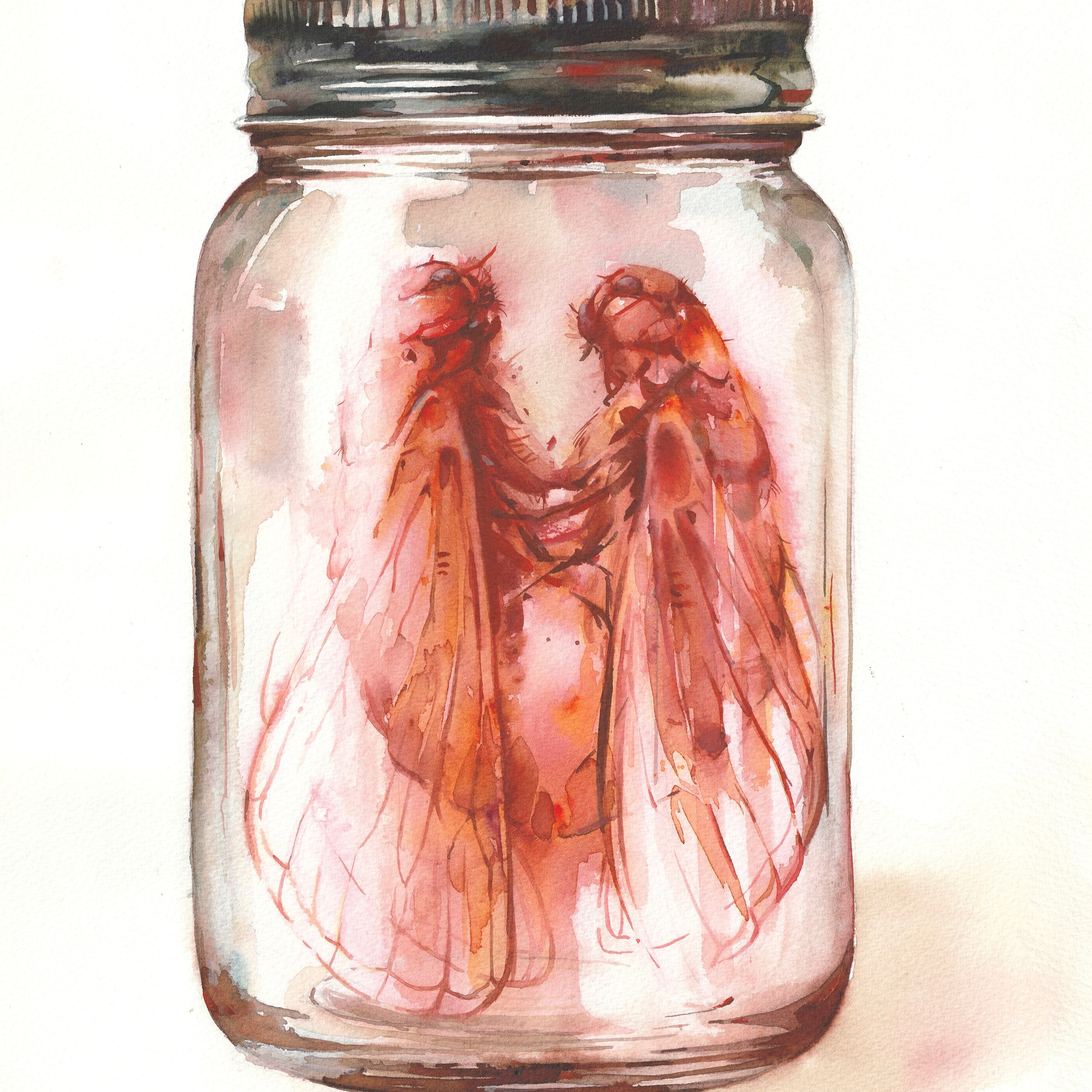 "Цикады", акварель, 30х40 см, 2024