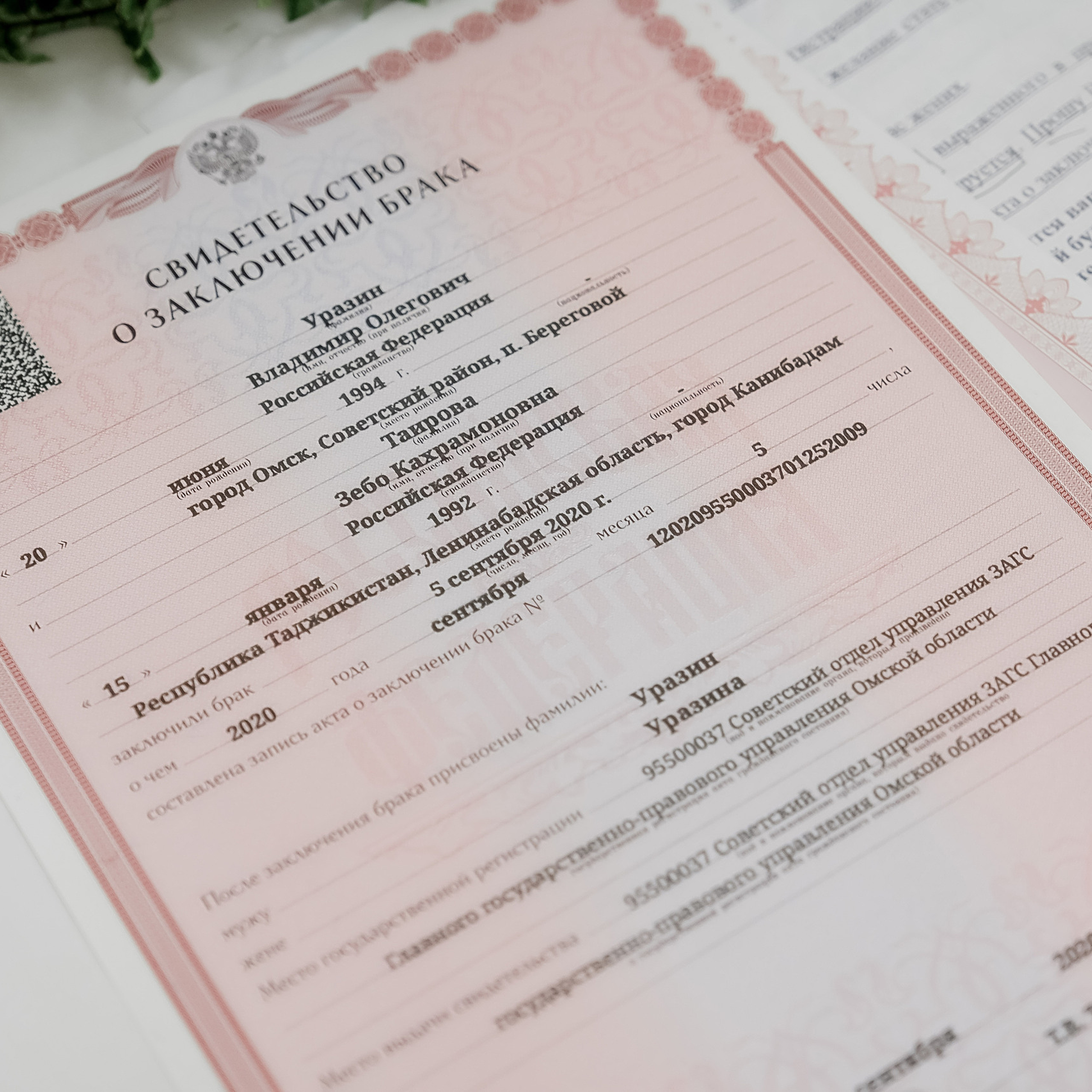 Отзывы. Профессиональный фотограф Николай Рождественский. Москва, Омск, Тюмень