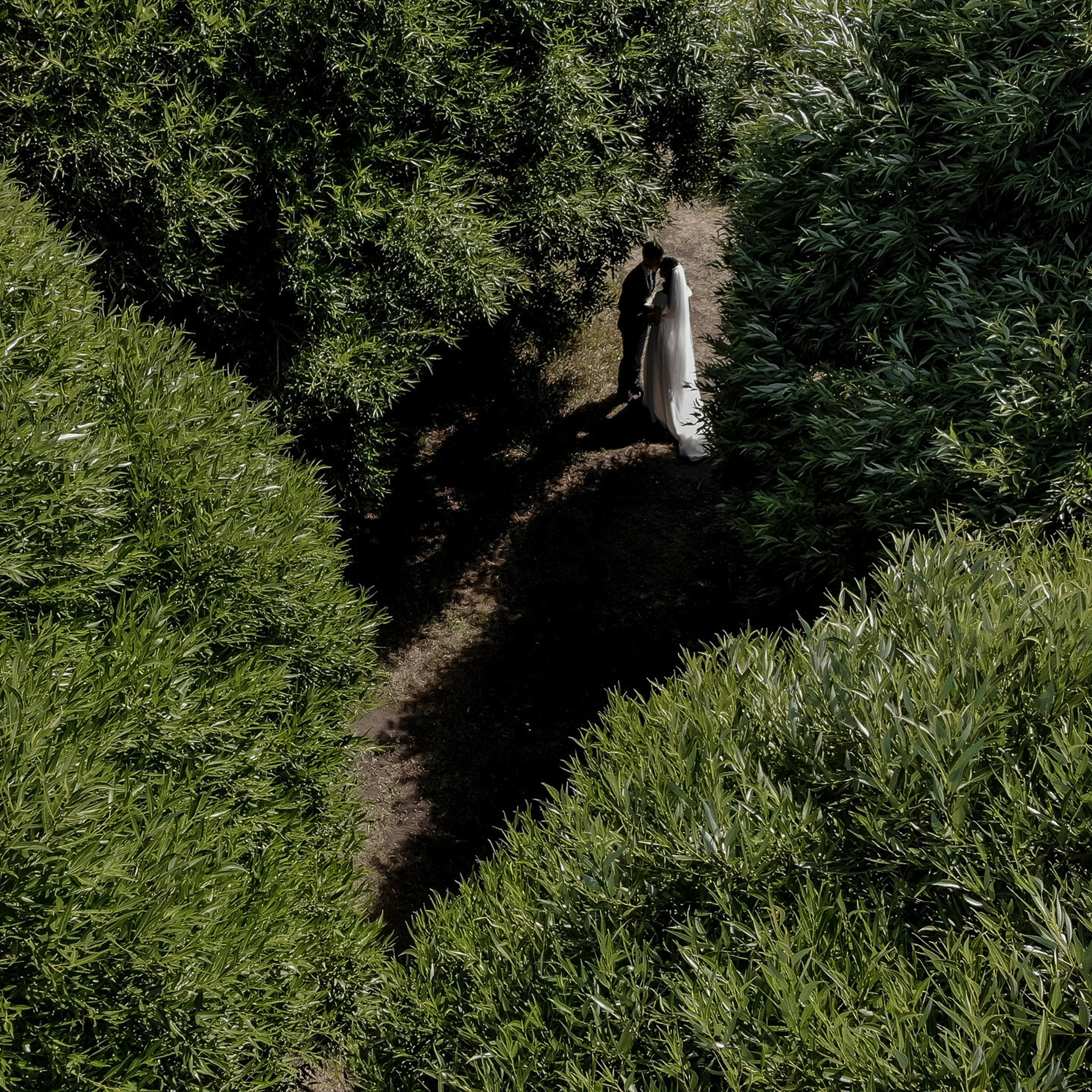 Отзывы. Профессиональный фотограф Николай Рождественский. Москва, Омск, Тюмень