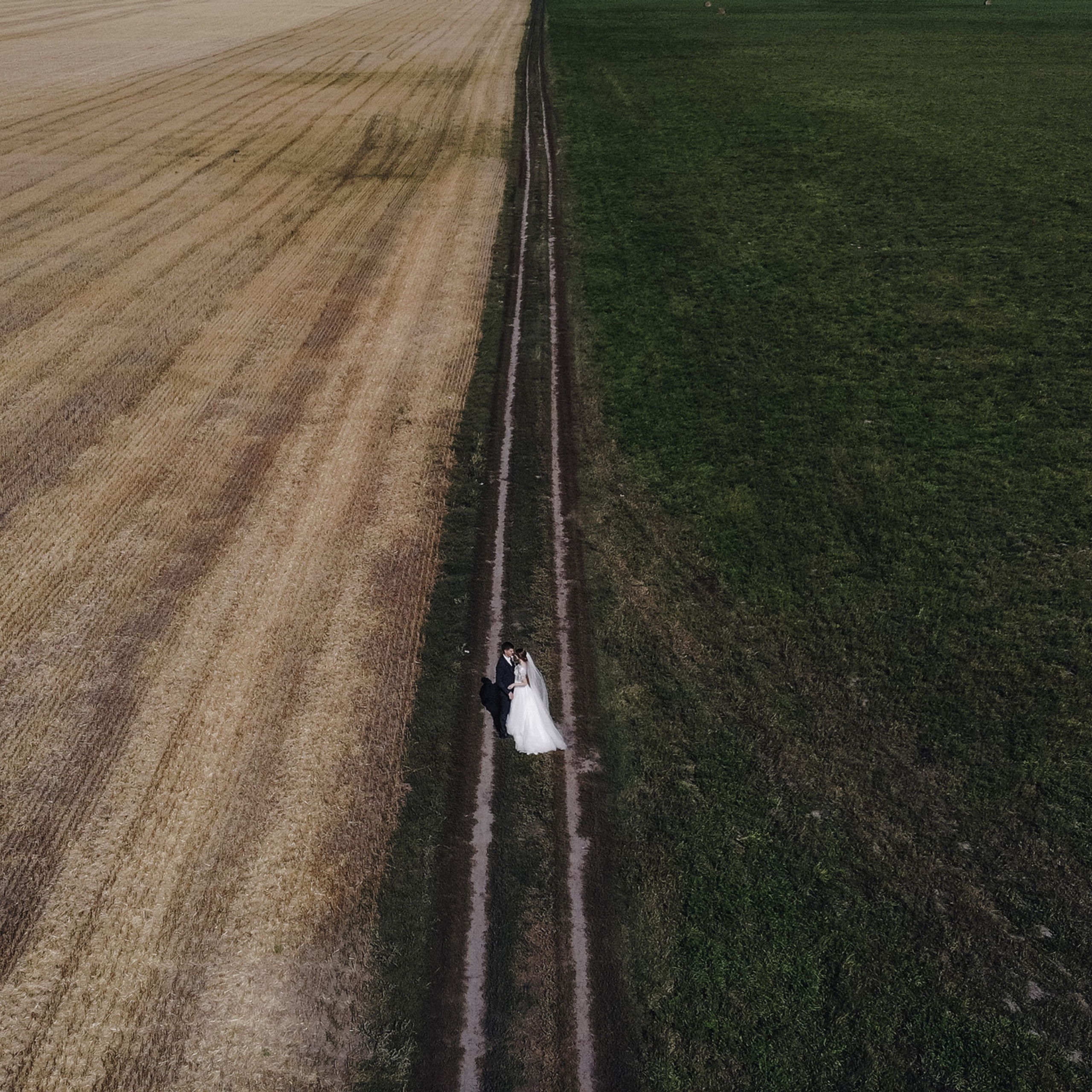 Отзывы. Профессиональный фотограф Николай Рождественский. Москва, Омск, Тюмень