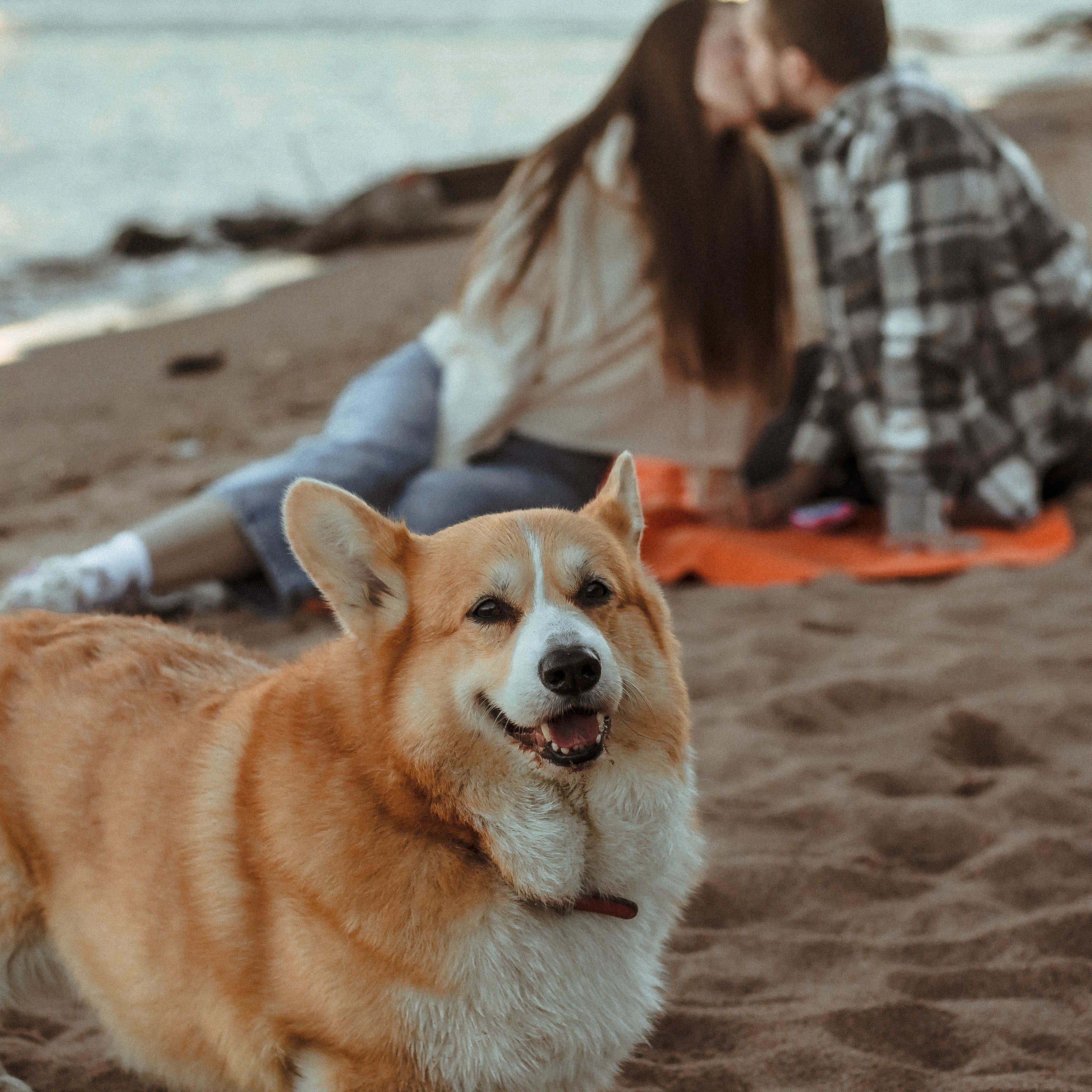 Юля, Кирилл и Тимоша