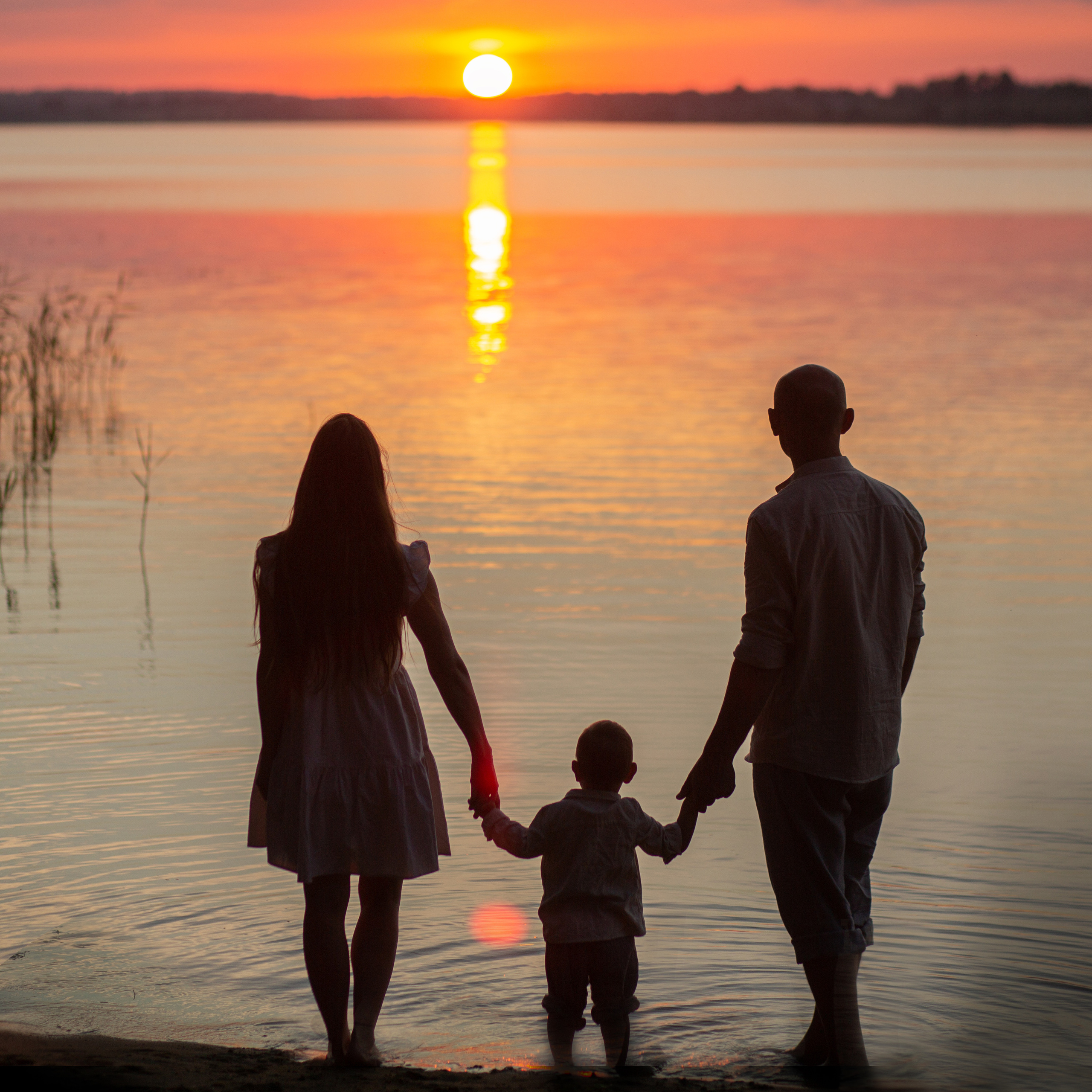 «Стандарт +» Анатолий Олеся и Степа