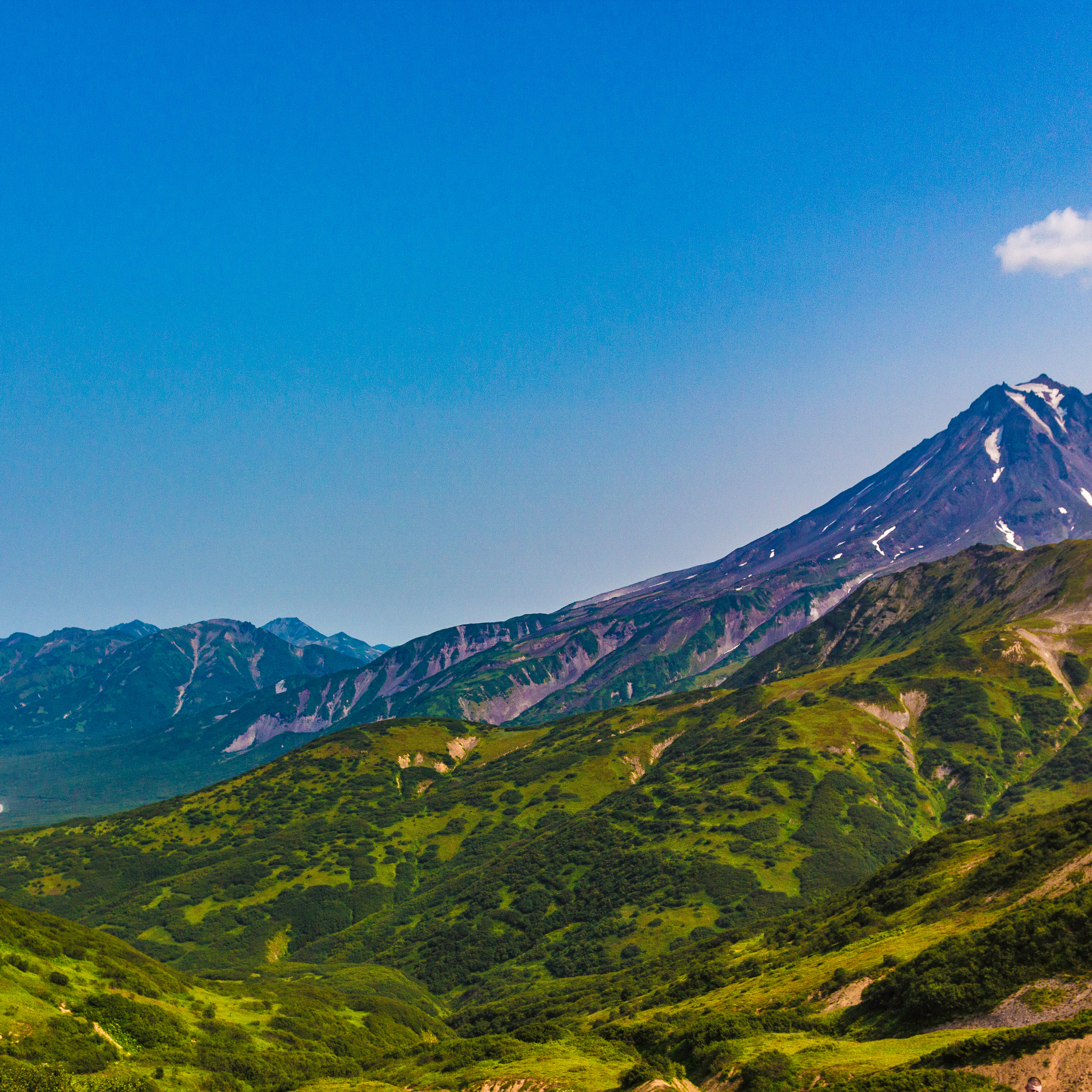 Отзывы. Фотограф Даниил Камчатка