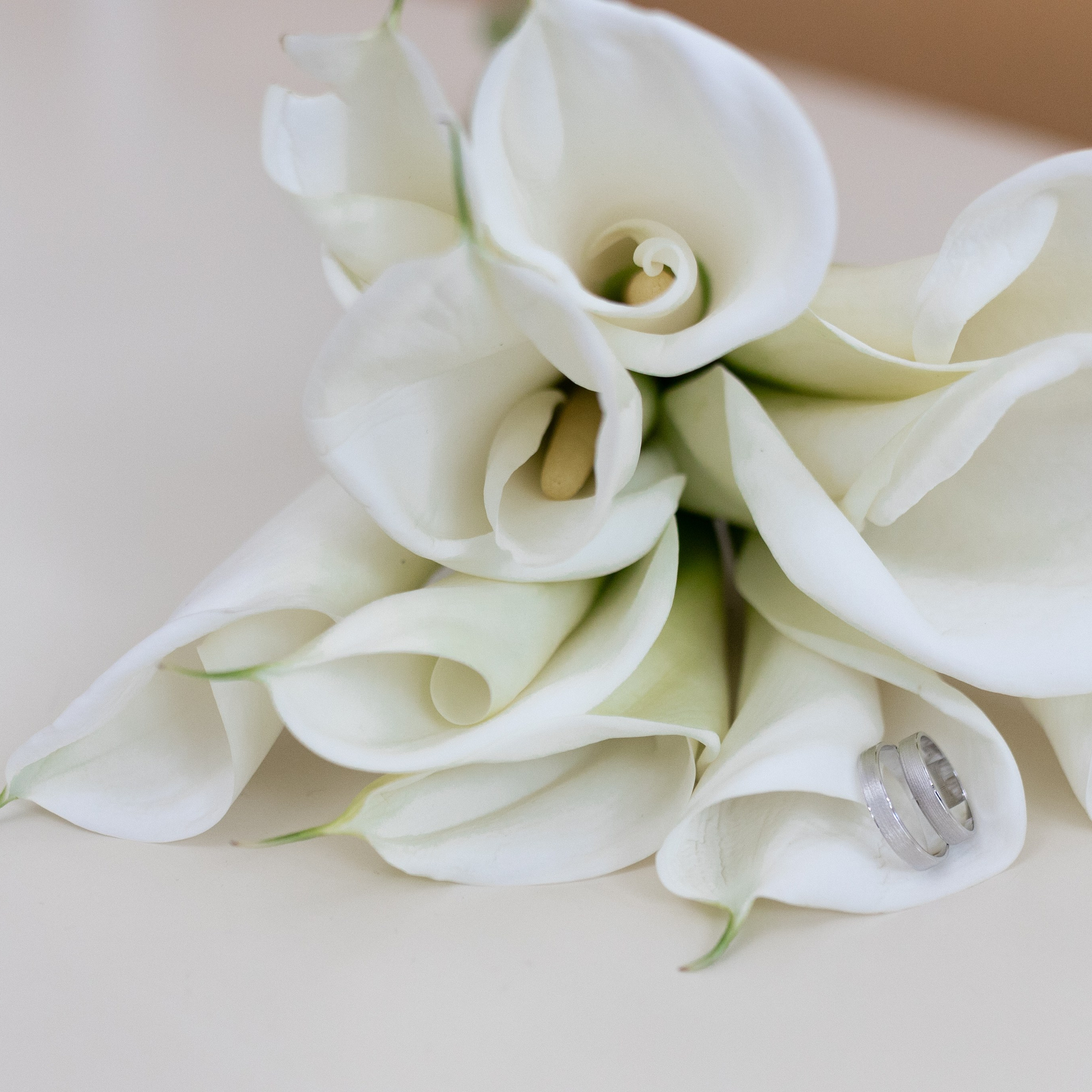 Отзывы. Свадебный фотограф | Москва