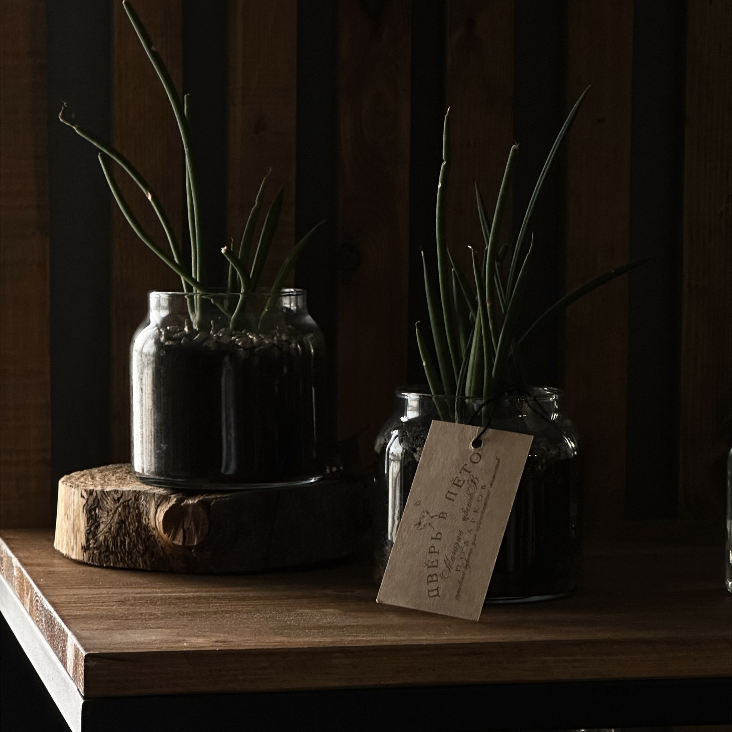 Бизнес съемки