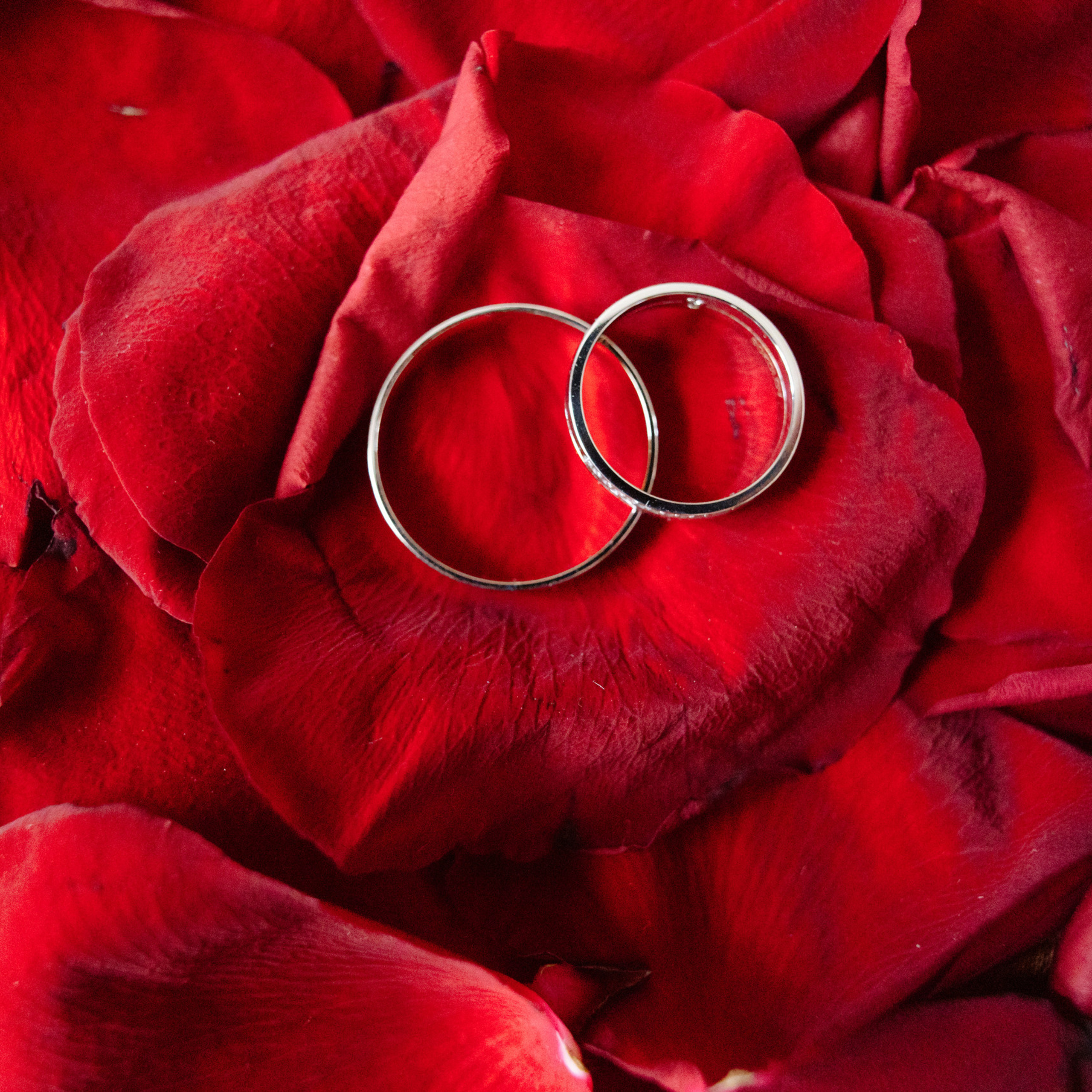 Отзывы. Свадебный фотограф в Москве    Еремин Анатолий