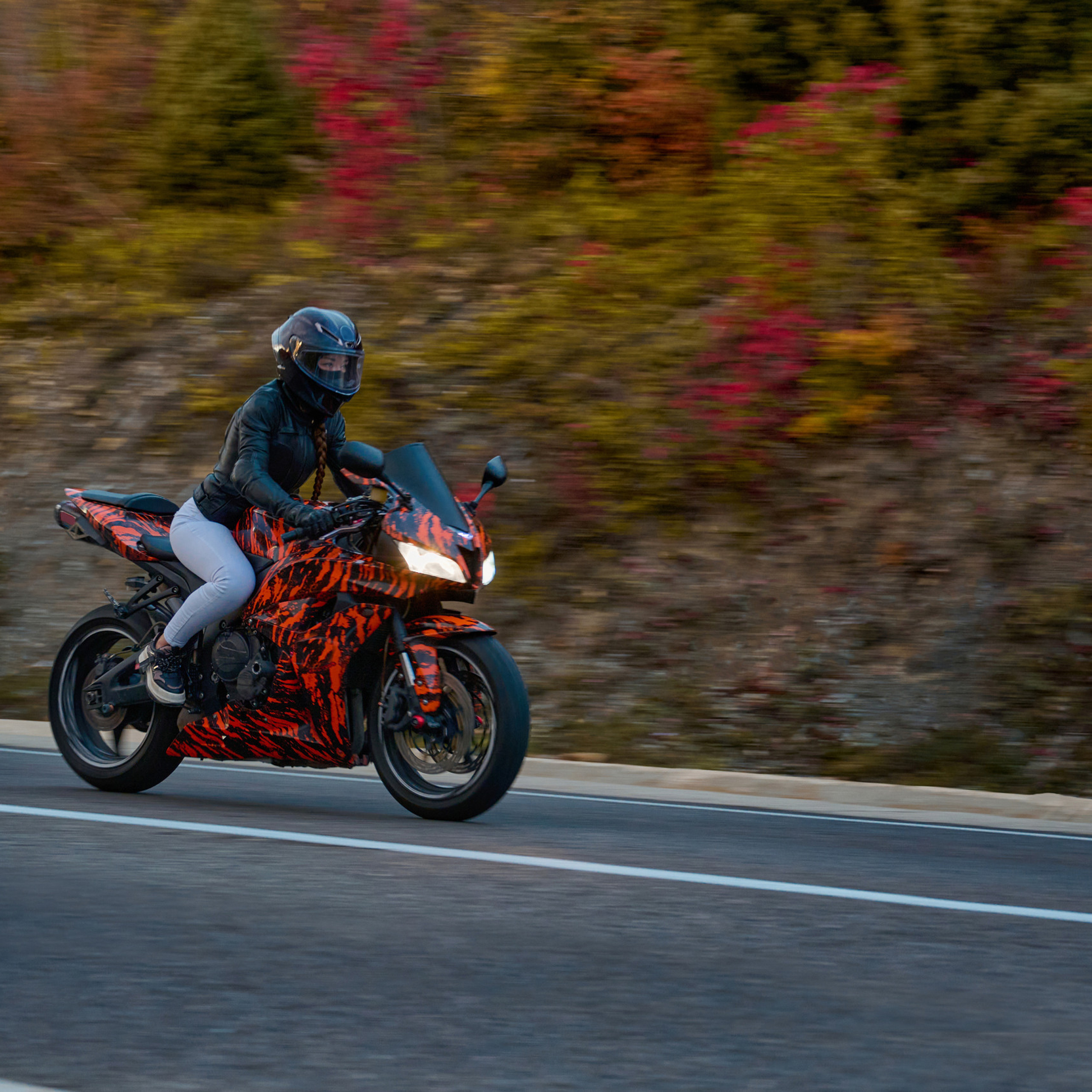 Отзывы, предложения, благодарность, критика. Яркие фото на Чёрном море