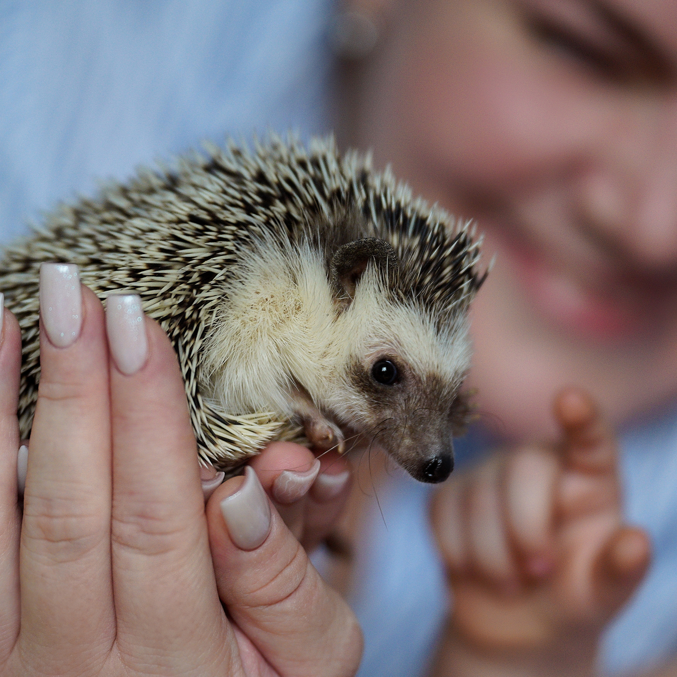 ОТЗЫВЫ. Профессиональный фотограф Виктория Соломкина. Майкоп-ЮФО