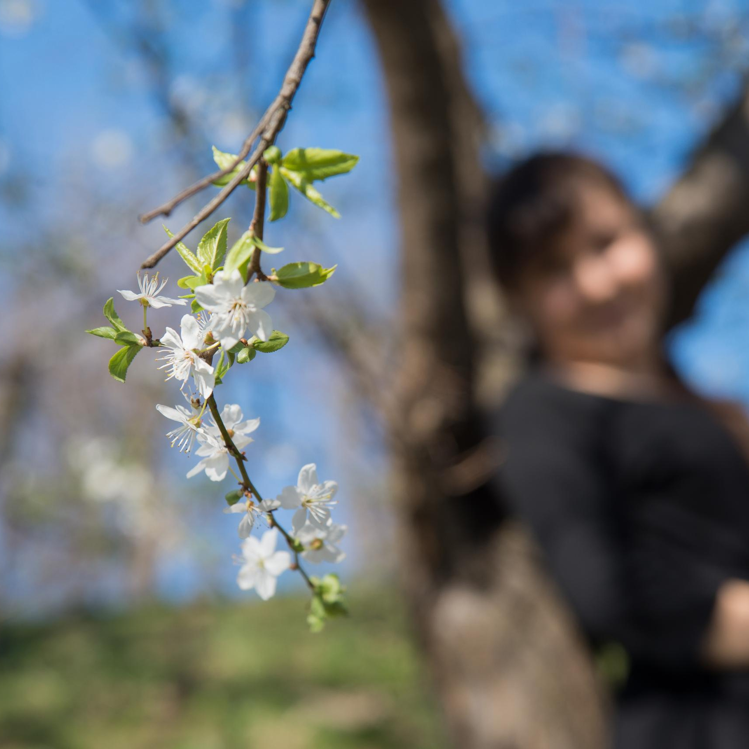 ОТЗЫВЫ. Профессиональный фотограф Виктория Соломкина. Майкоп-ЮФО