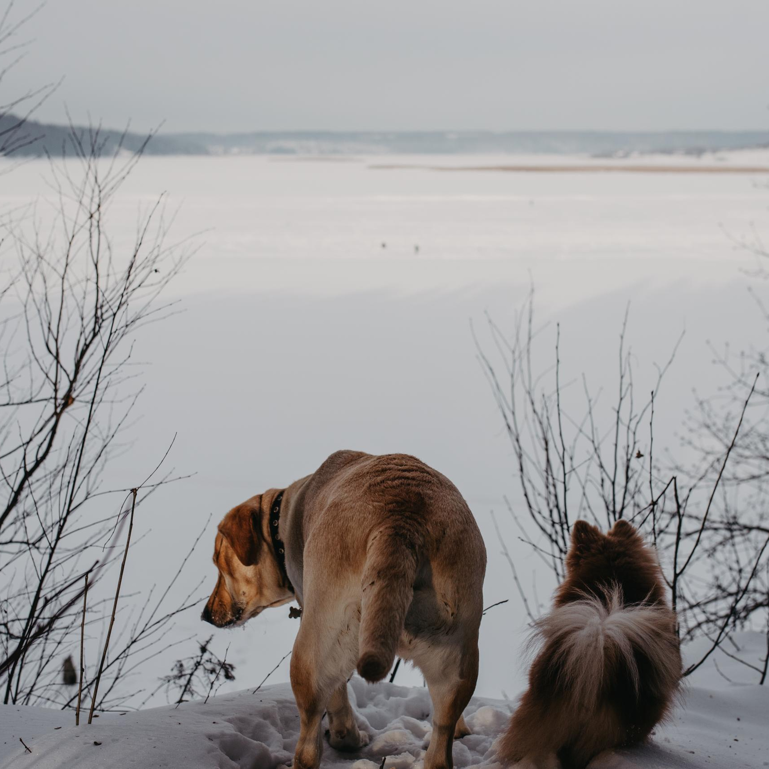 Отзывы. Главная