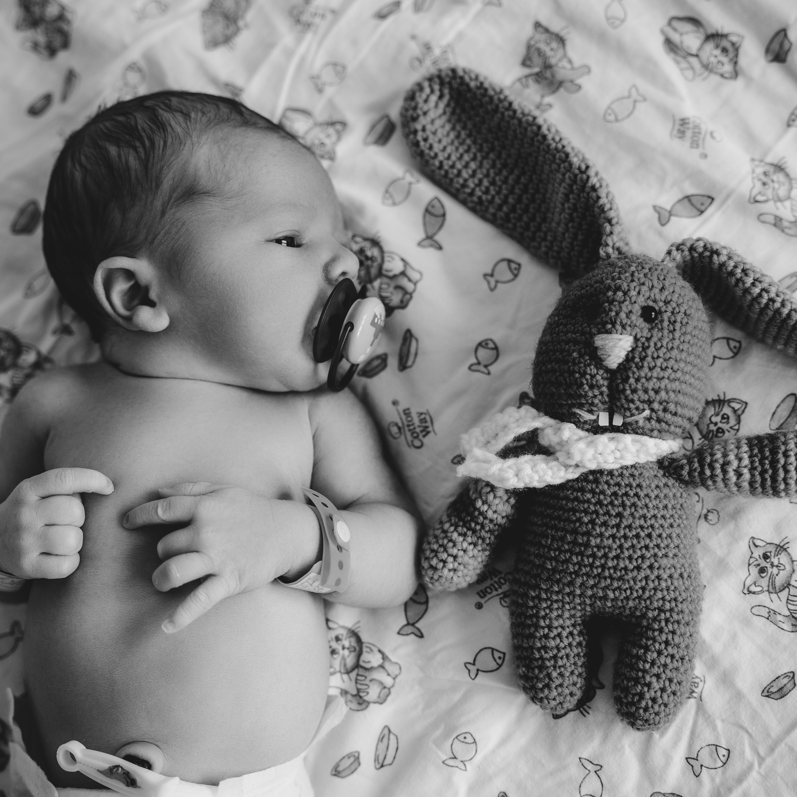 Отзывы счастливых родителей после съемок. Фотограф беременности и новорожденных Диляра Эстрина г. Альметьевск