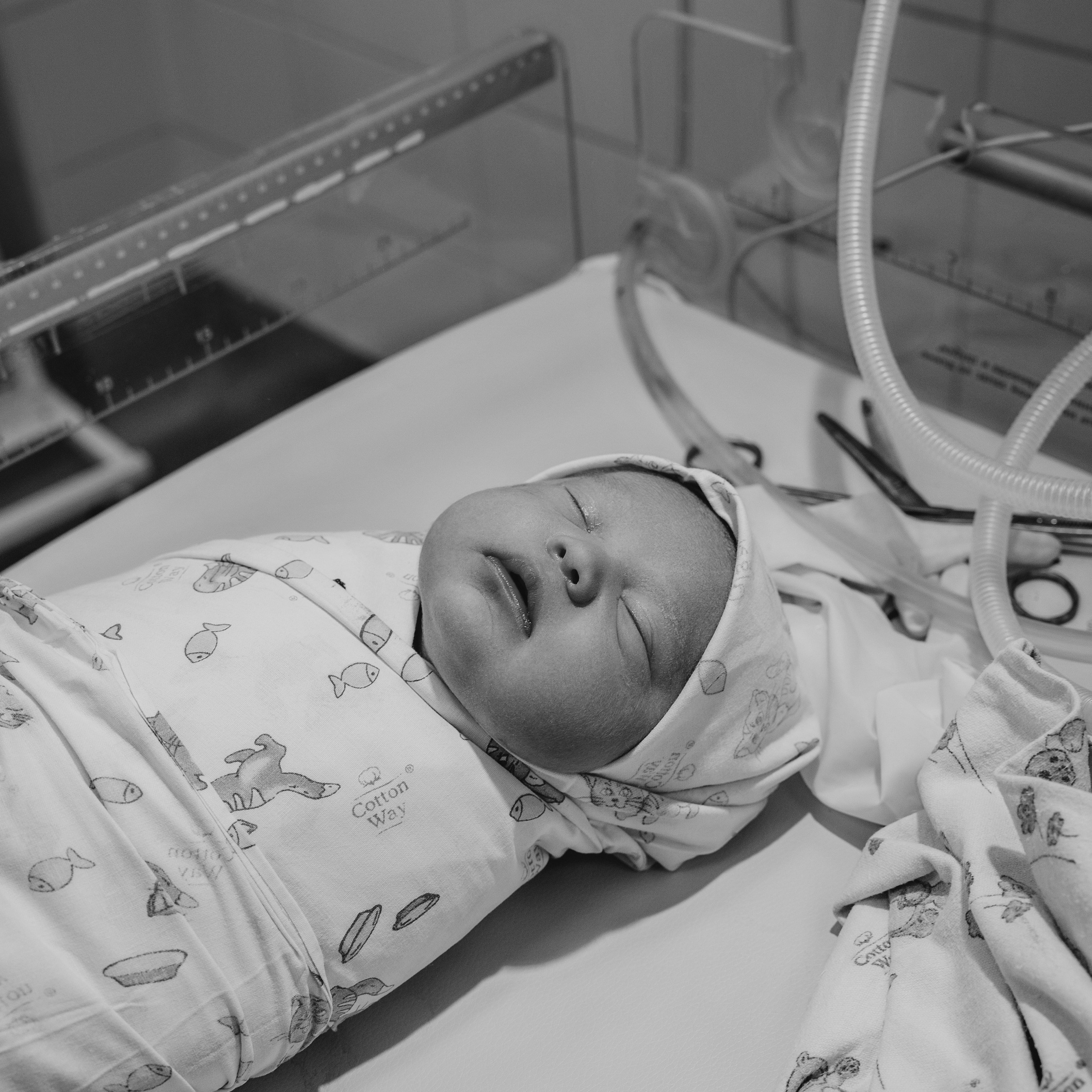 Отзывы счастливых родителей после съемок. Фотограф беременности и новорожденных Диляра Эстрина г. Альметьевск