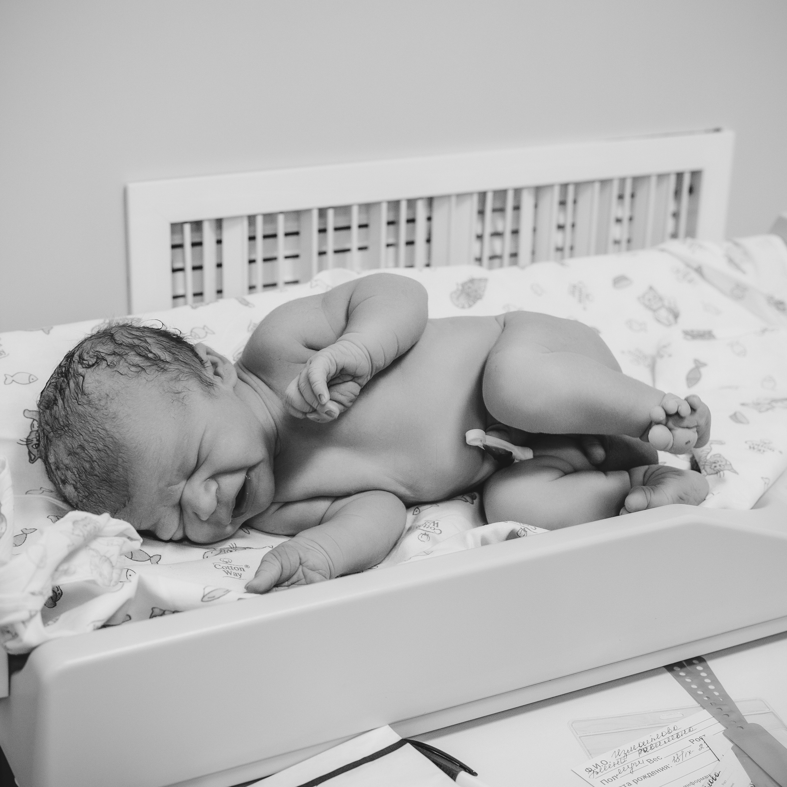 Отзывы счастливых родителей после съемок. Фотограф беременности и новорожденных Диляра Эстрина г. Альметьевск