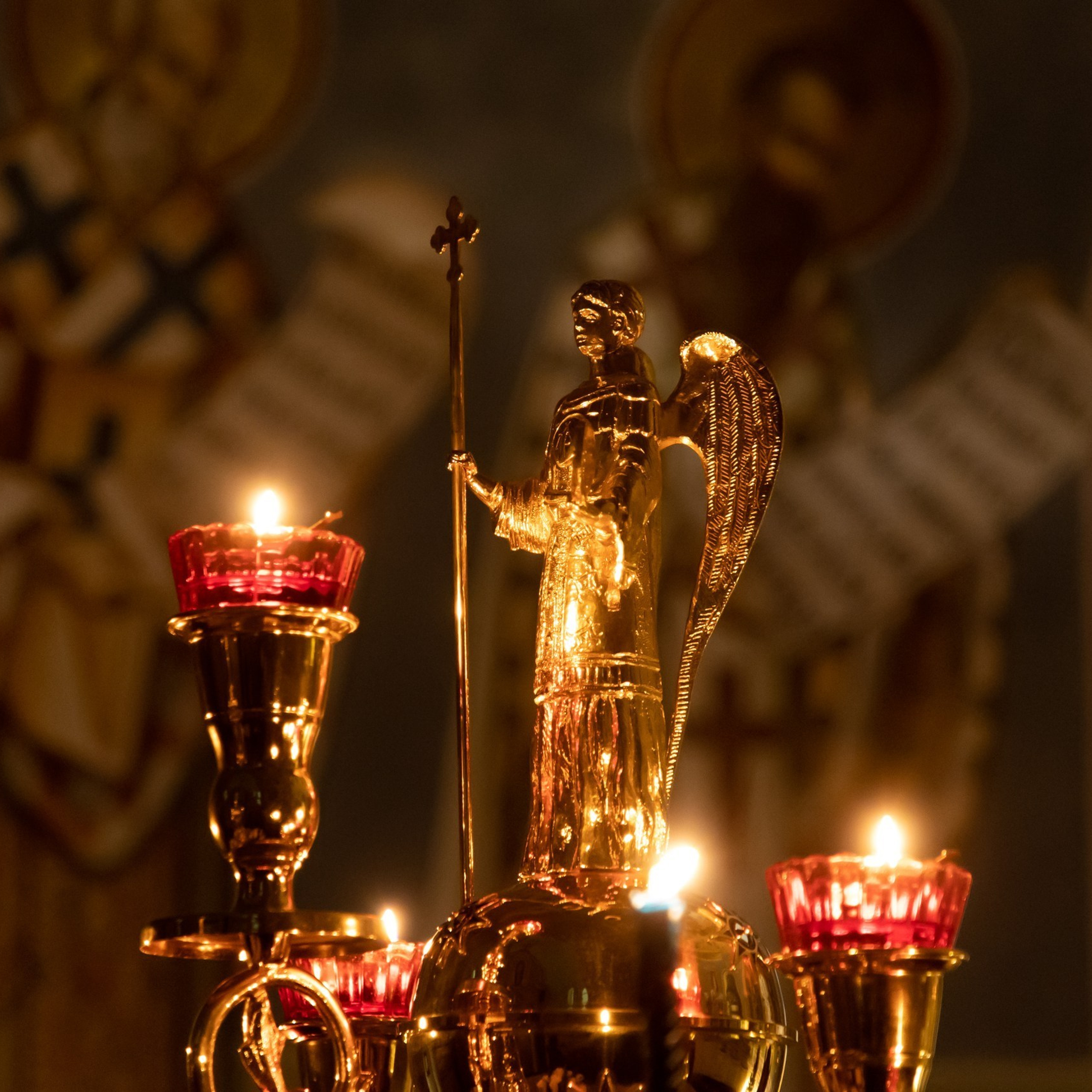 Отзывы. Репортажный фотограф Александр Чусь