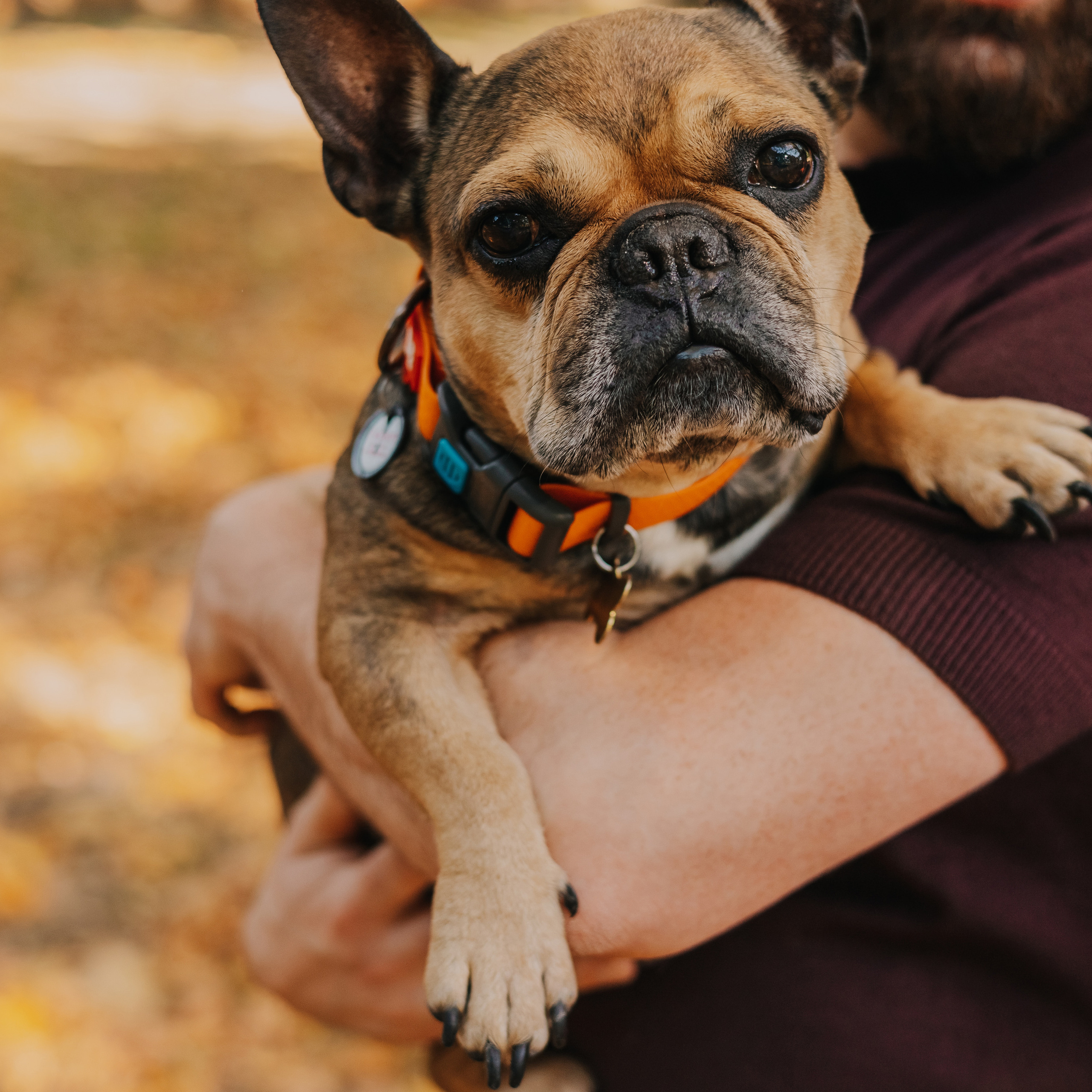 Отзывы о Работе Фотографа: Что Говорят Мои Клиенты Москва. Семейный Фотограф Москва: Семья, Love Story, Контент для Блога/Маркетплейсов