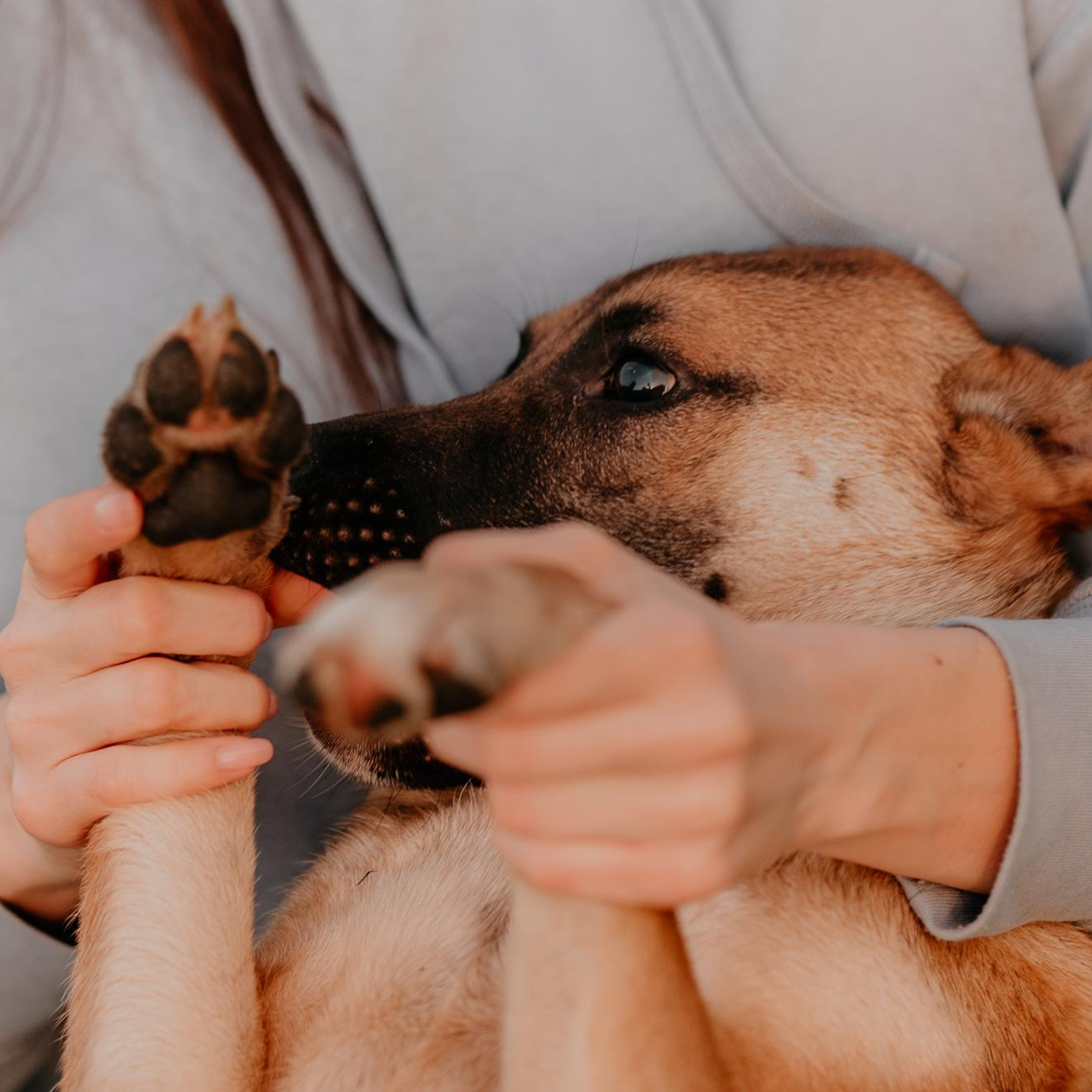 Are they looking for or&nbsp;have found a&nbsp;family