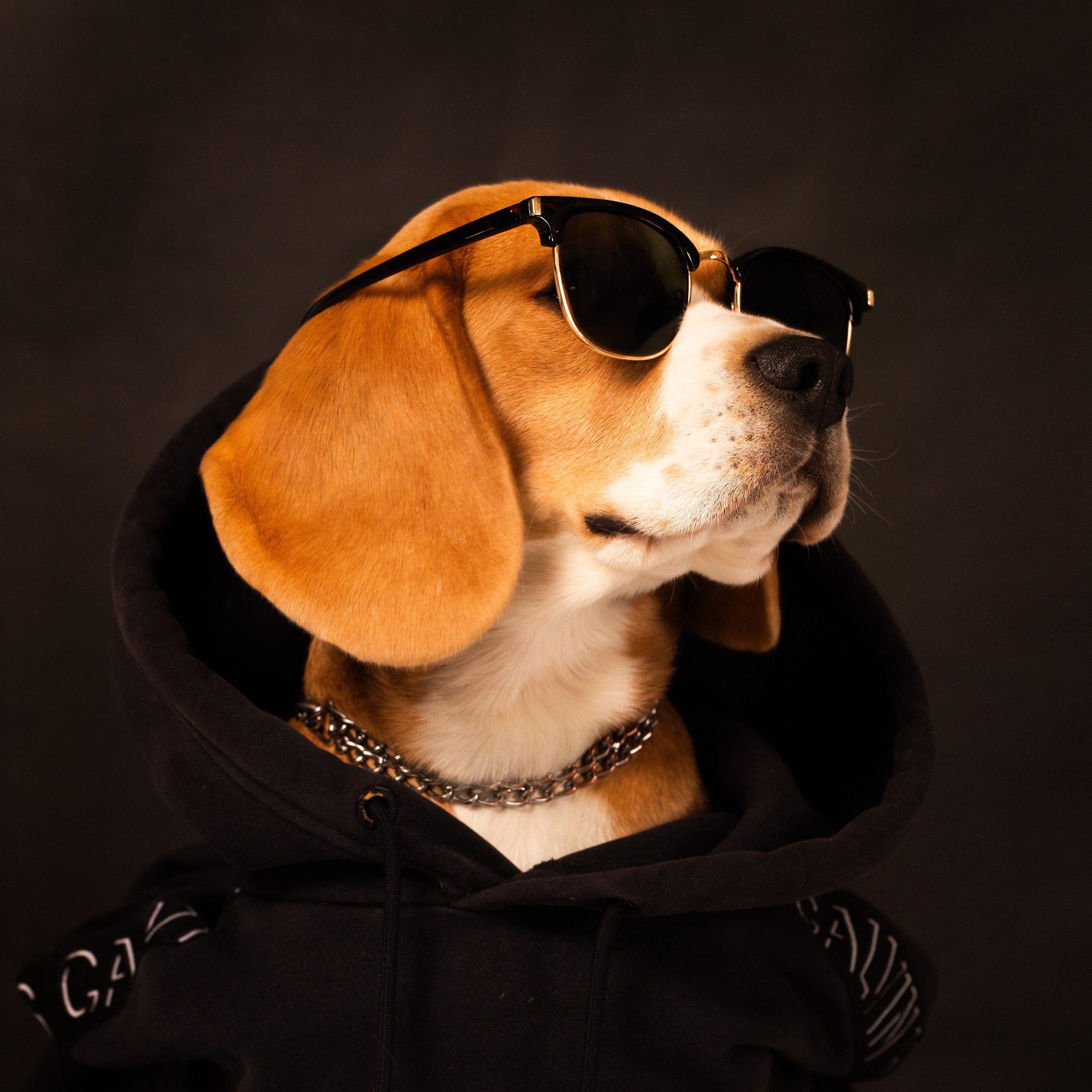 Студийные фотосъёмки