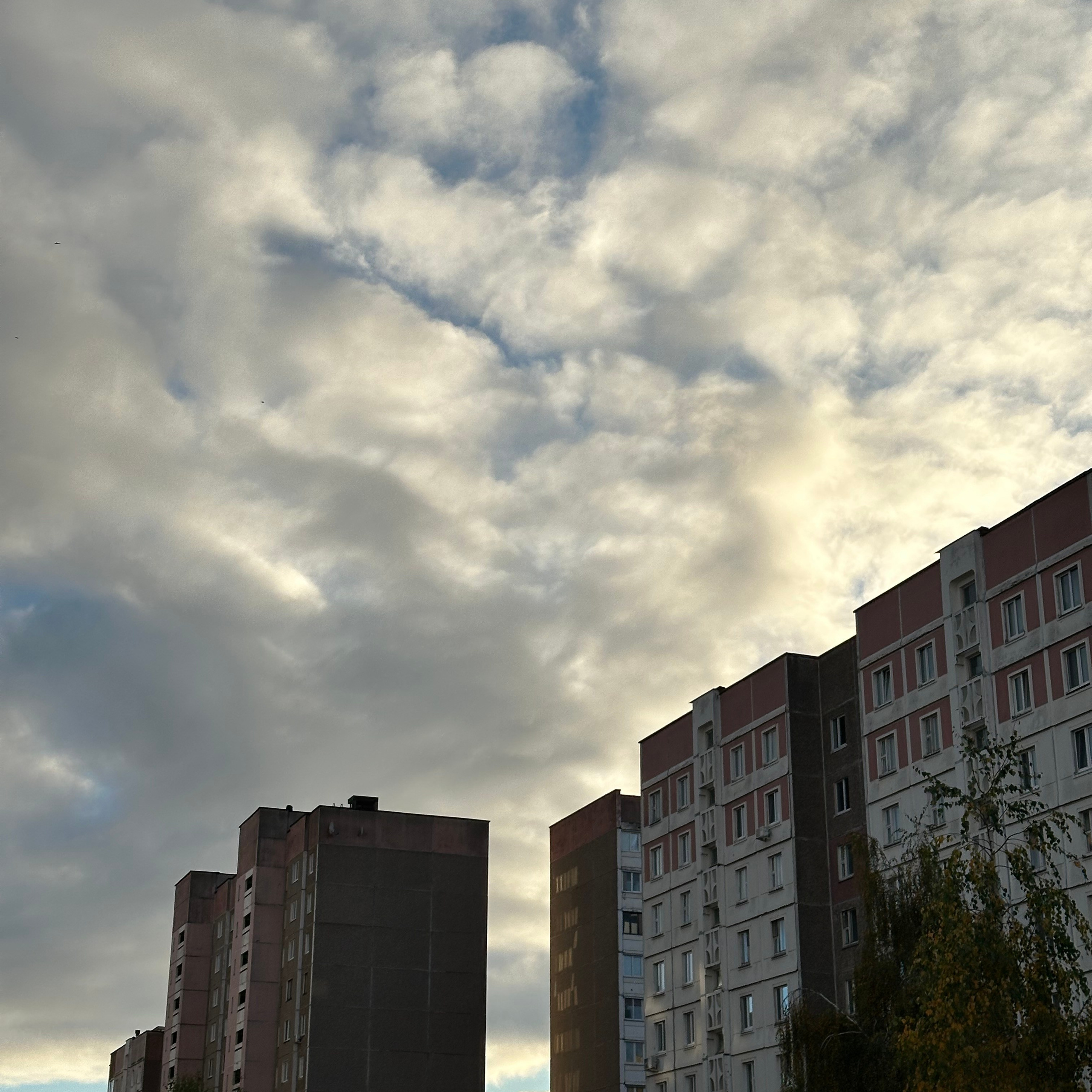 Обратная связь. Портретный фотограф в Минске Наталья Янкова