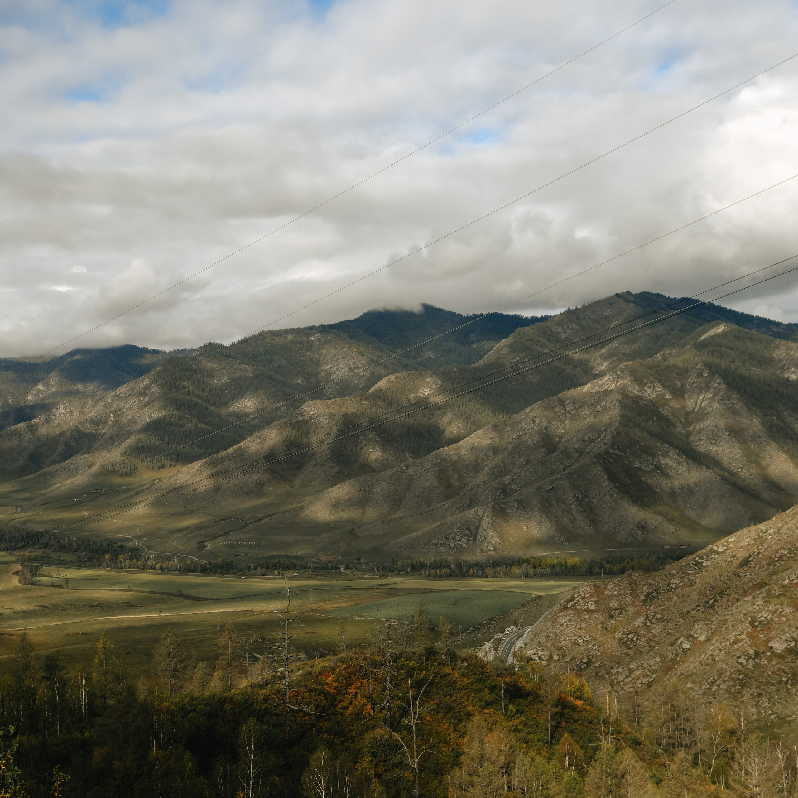 Отзывы. Свадебный и семейный фотограф Владивосток
