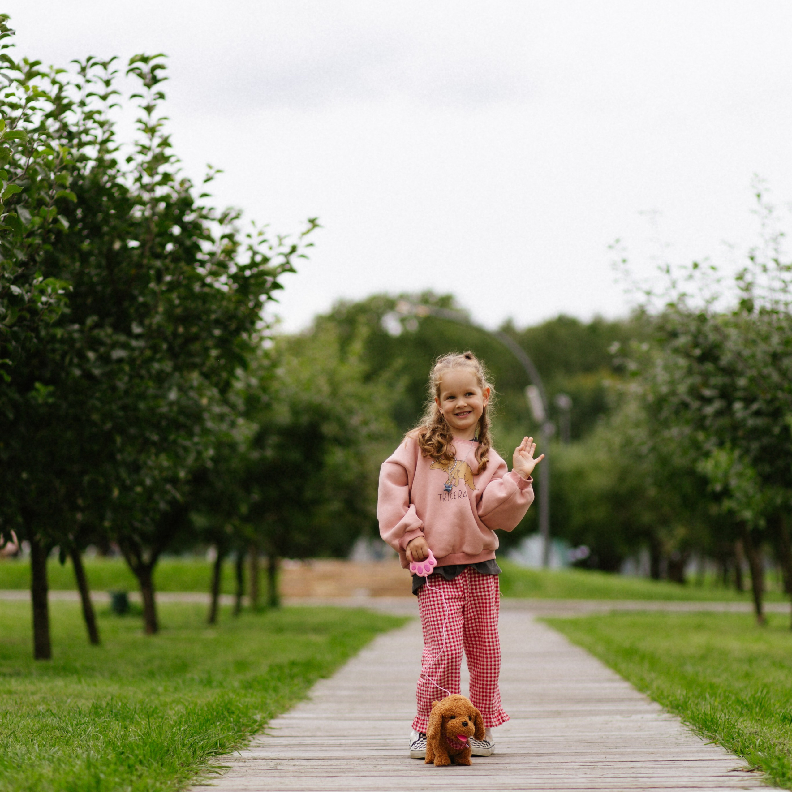 День рождения Василисы (дом, парк)