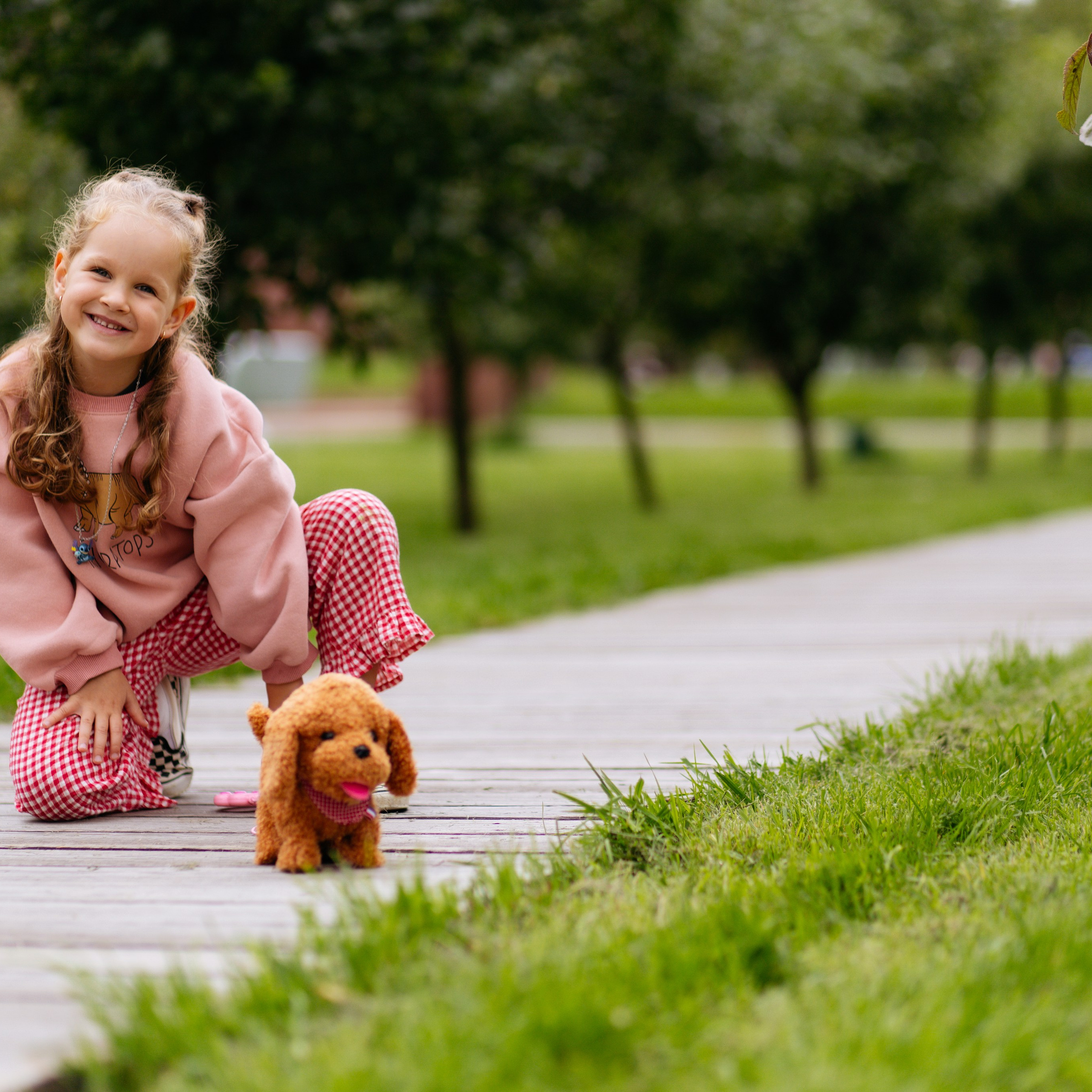 День рождения Василисы (дом, парк)