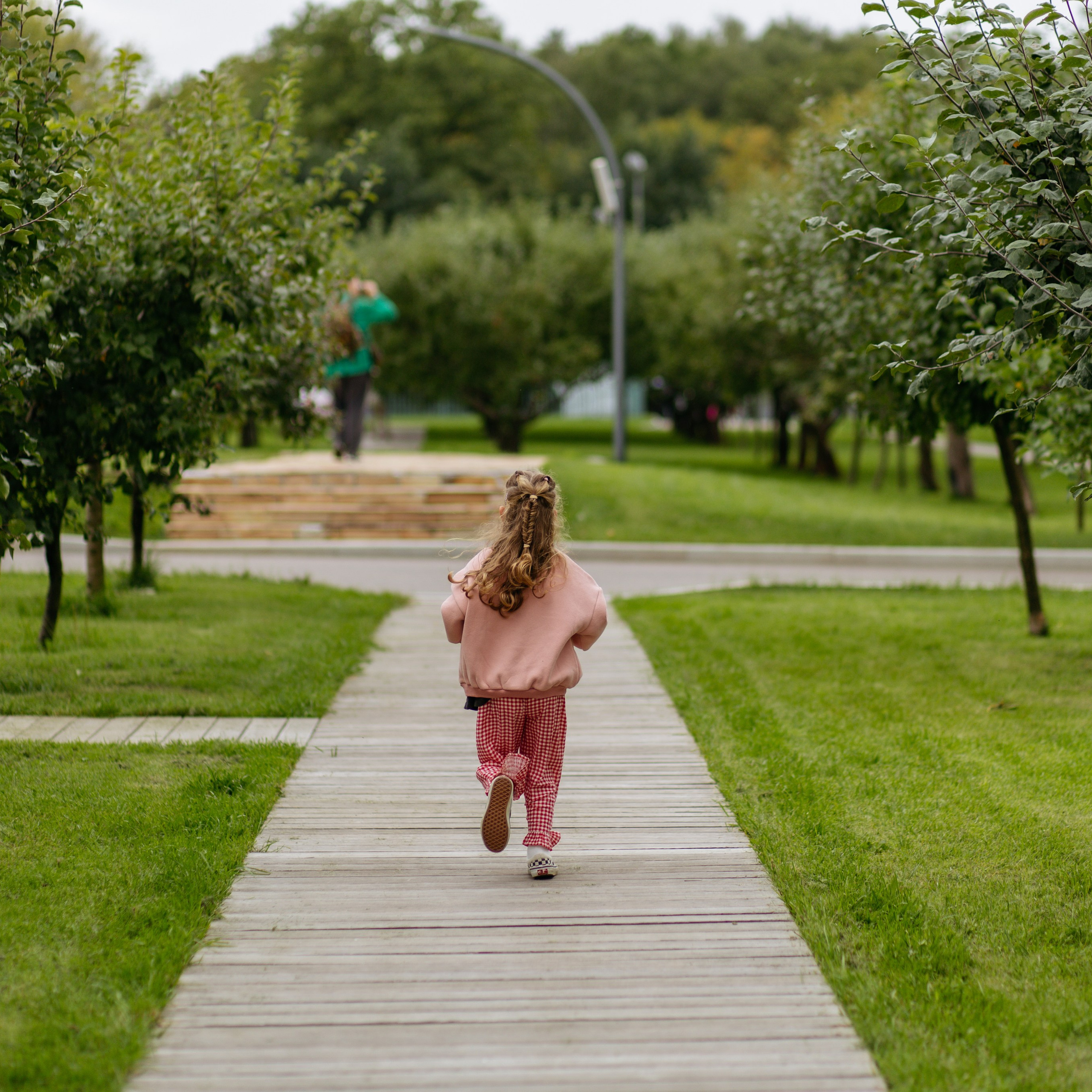День рождения Василисы (дом, парк)