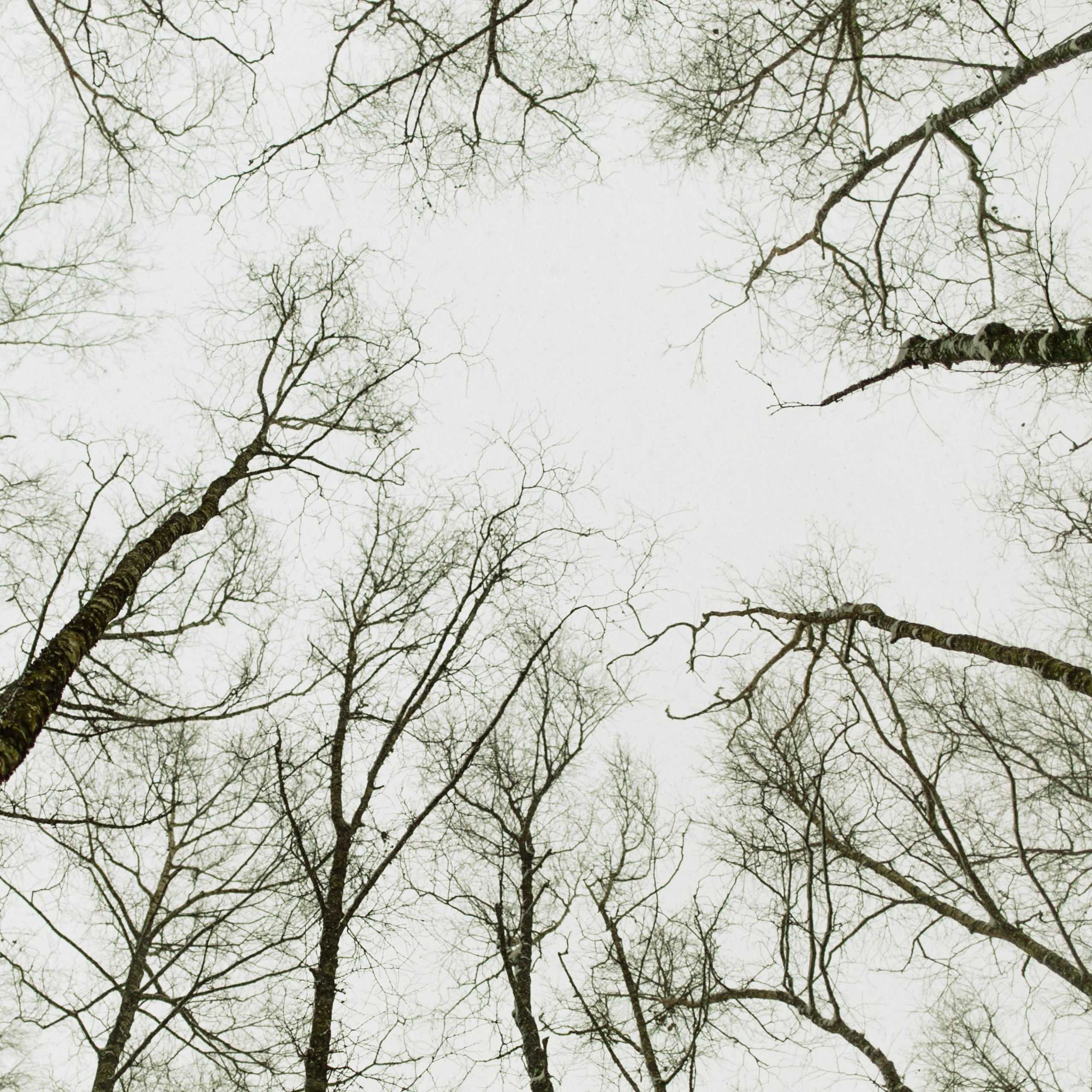 Кирилл, Марина, Саша