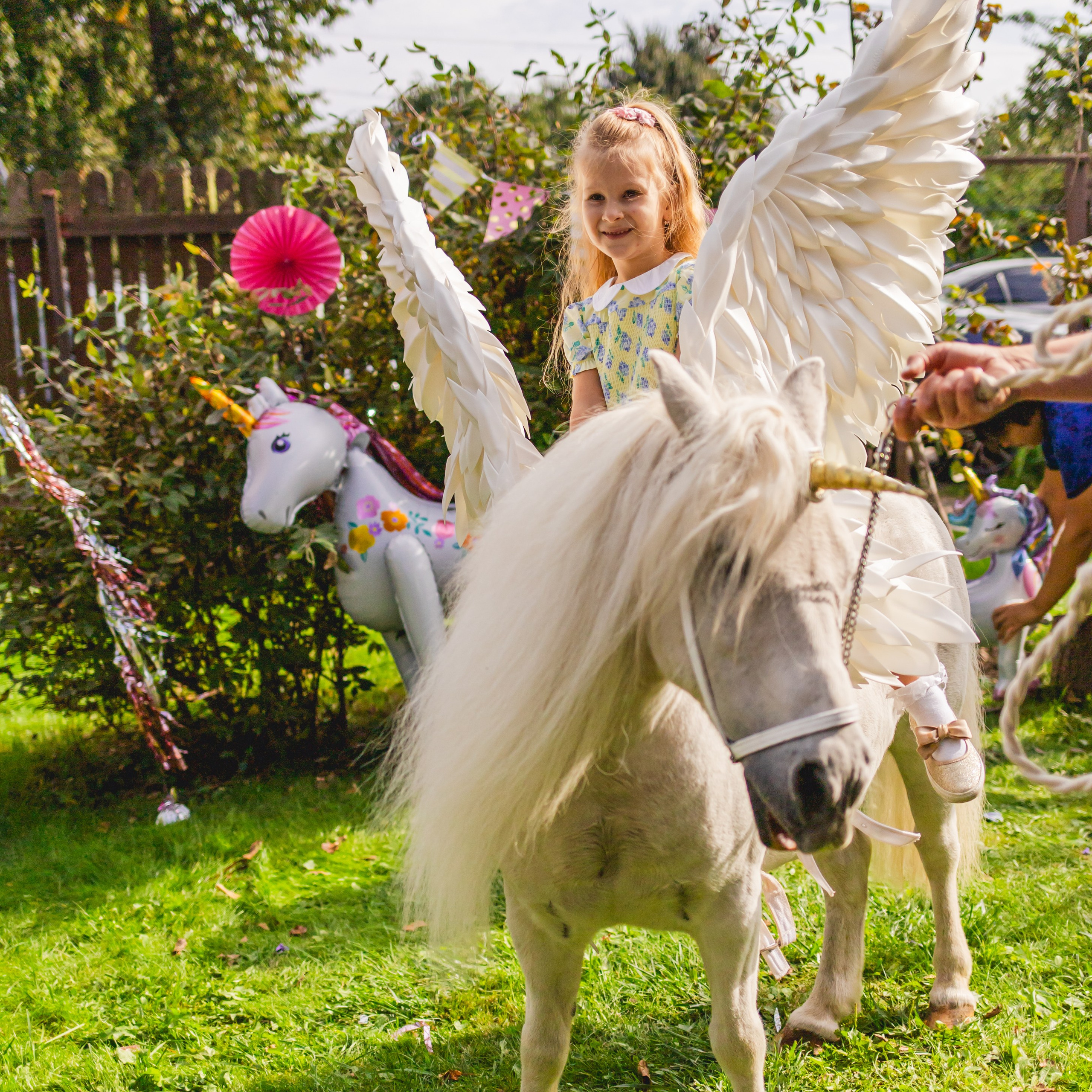 День рождения Элизабет 🎂