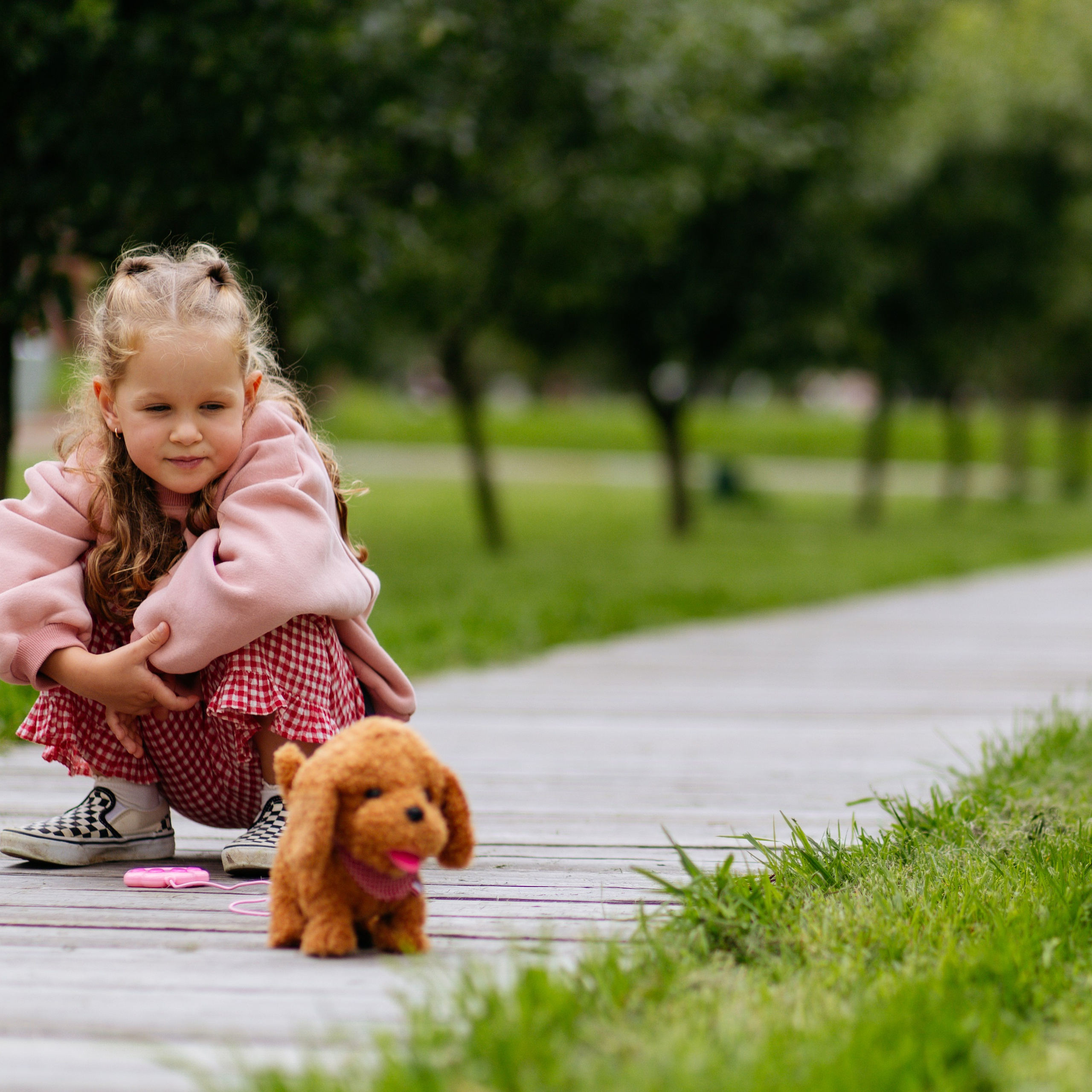 День рождения Василисы (дом, парк)