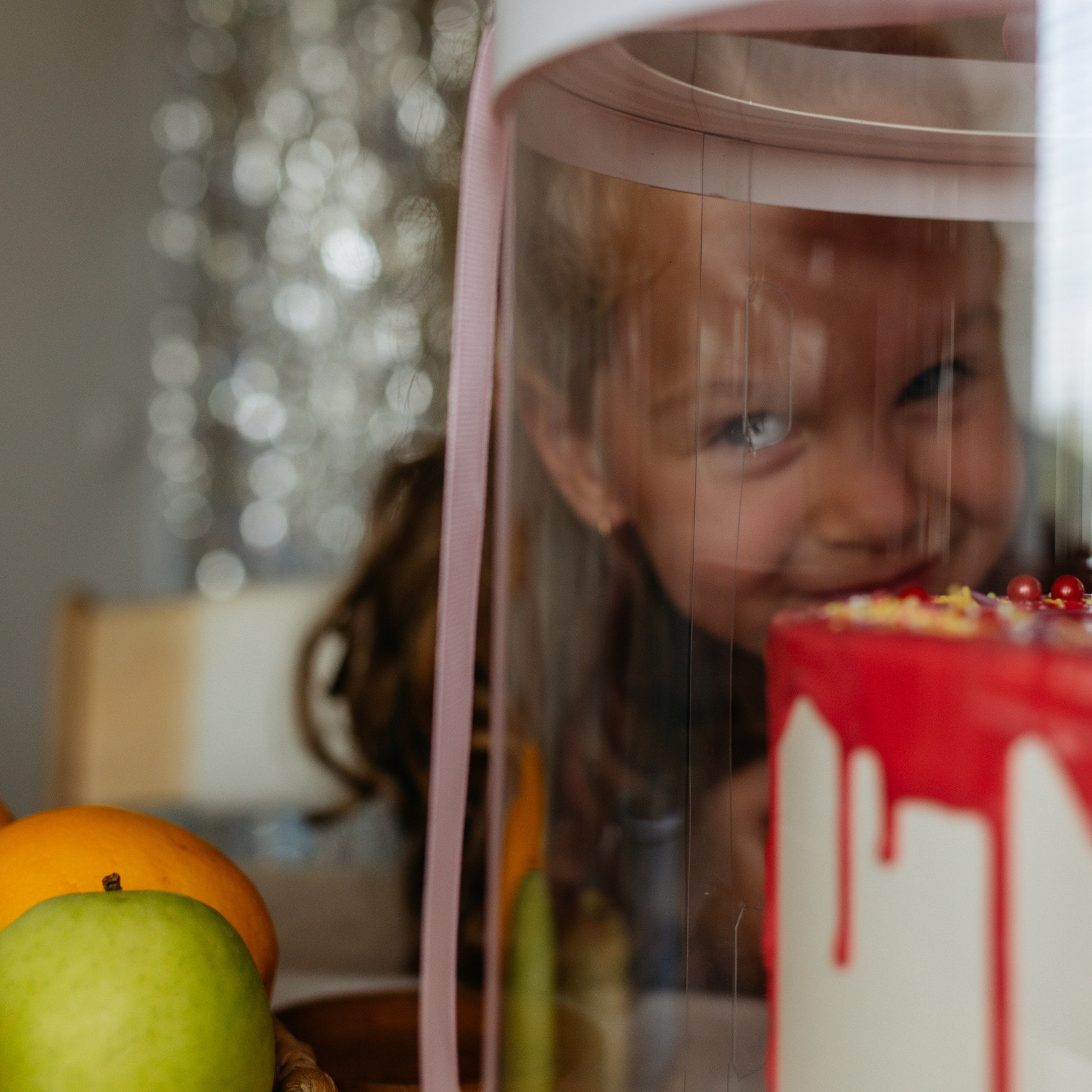 День рождения Василисы (дом, парк)