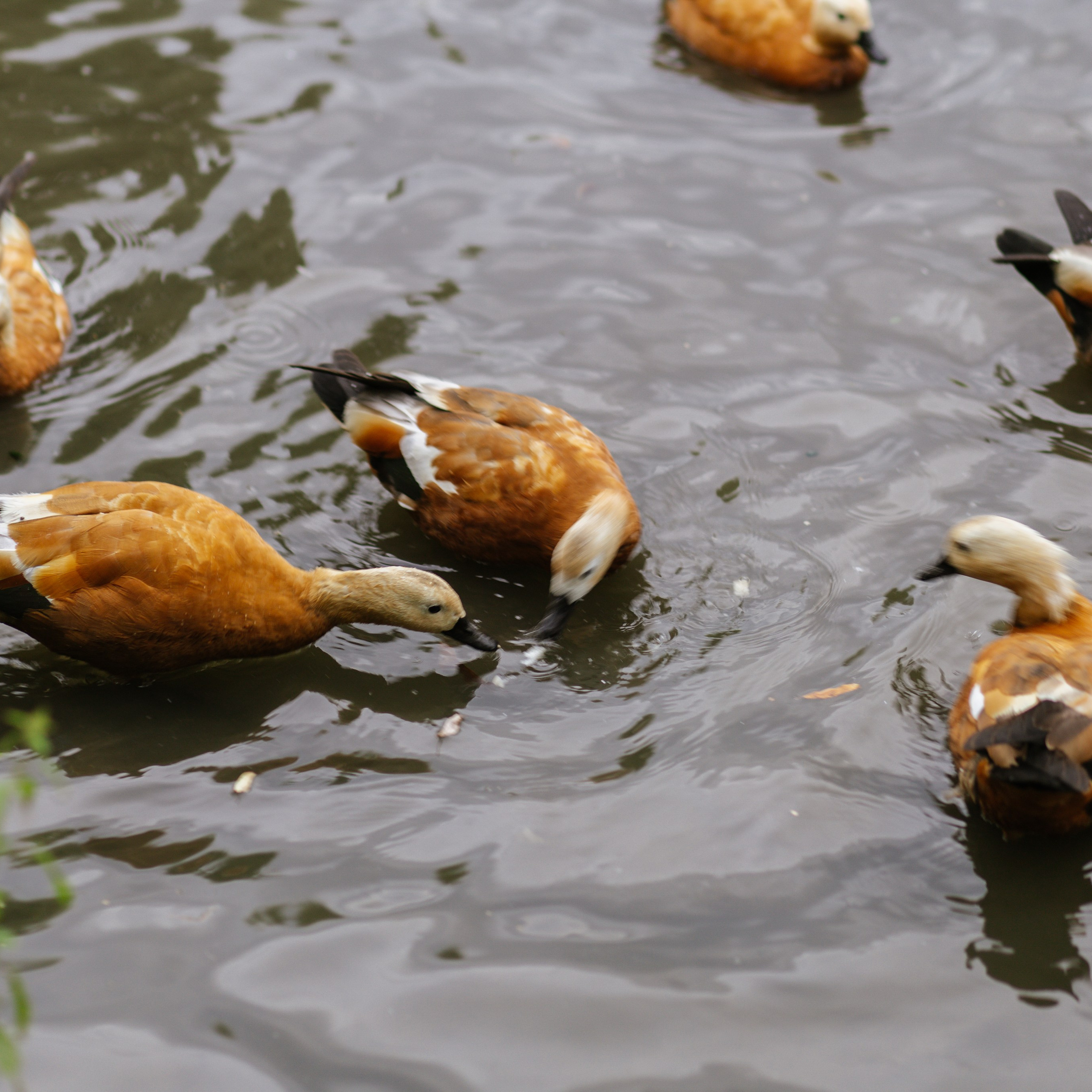 Вадим, Татьяна, Лера