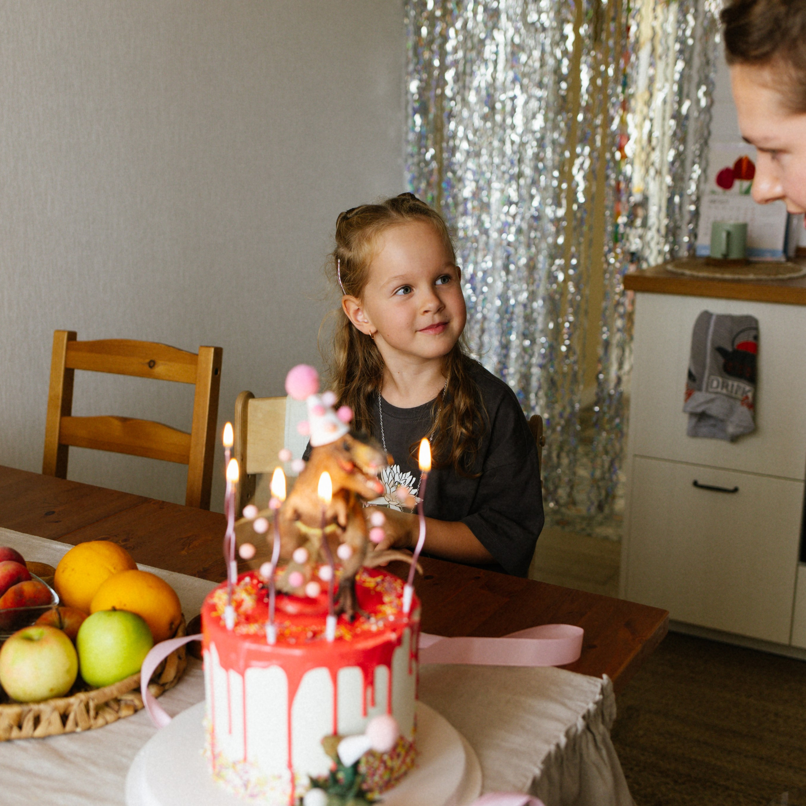 День рождения Василисы (дом, парк)