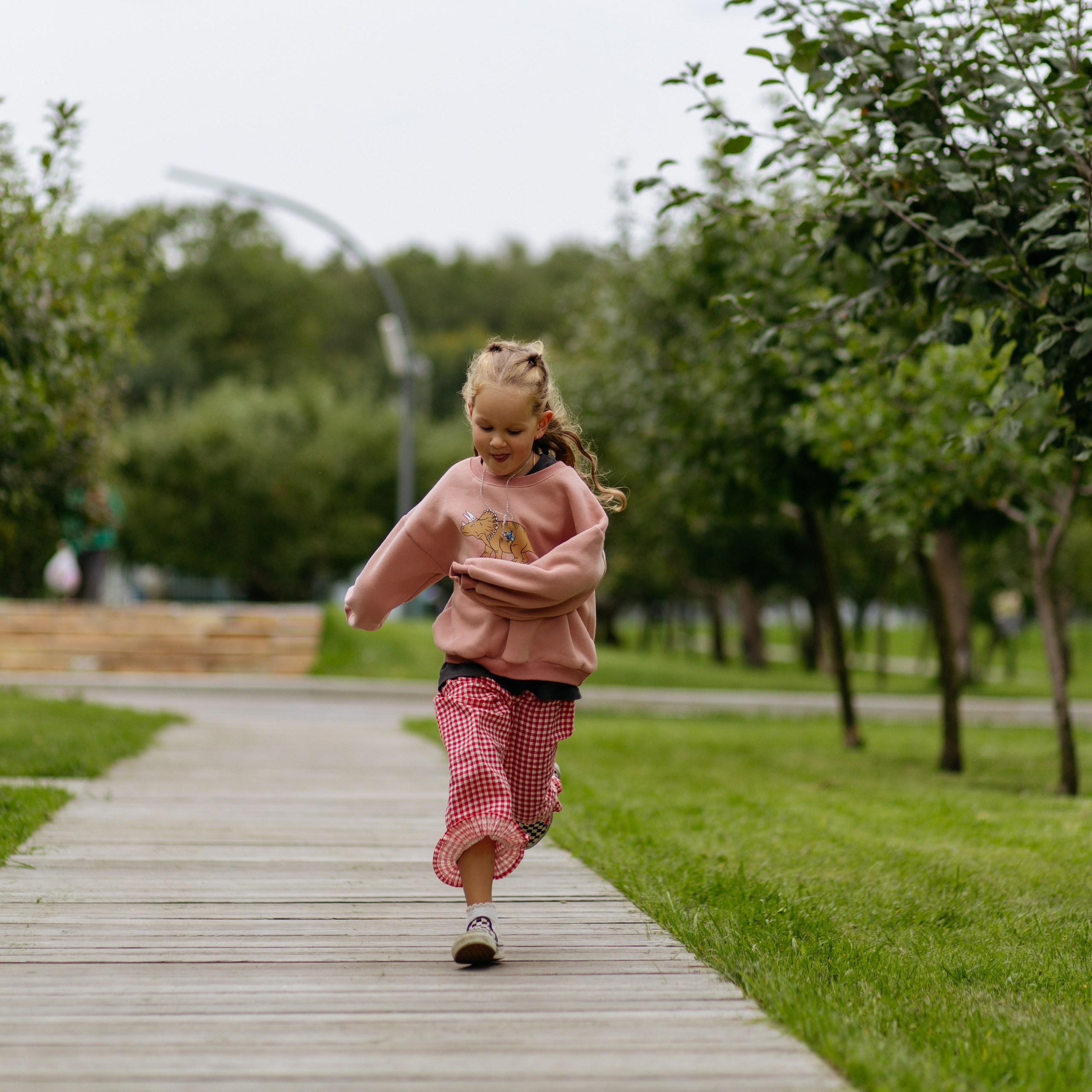 День рождения Василисы (дом, парк)