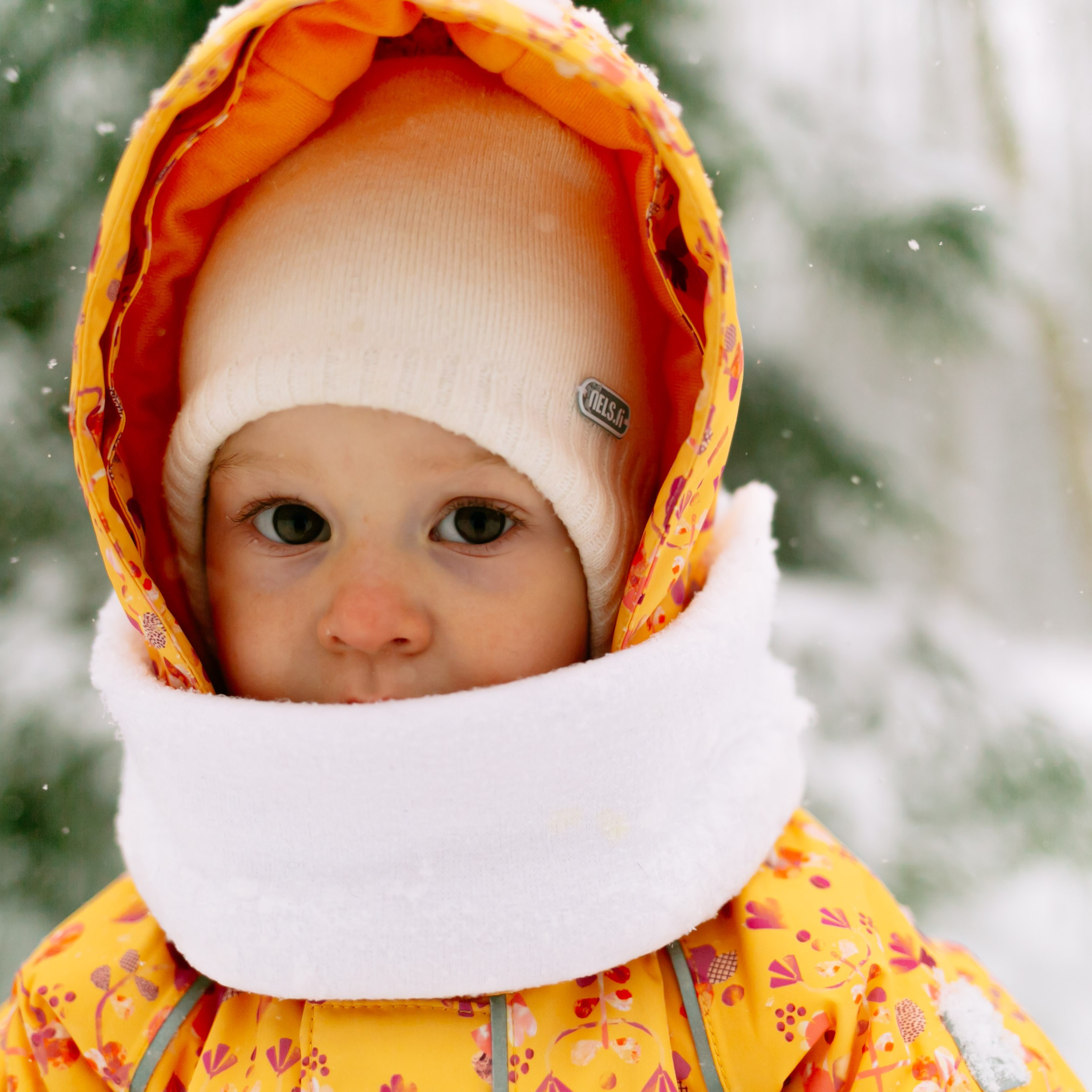 Кирилл, Марина, Саша