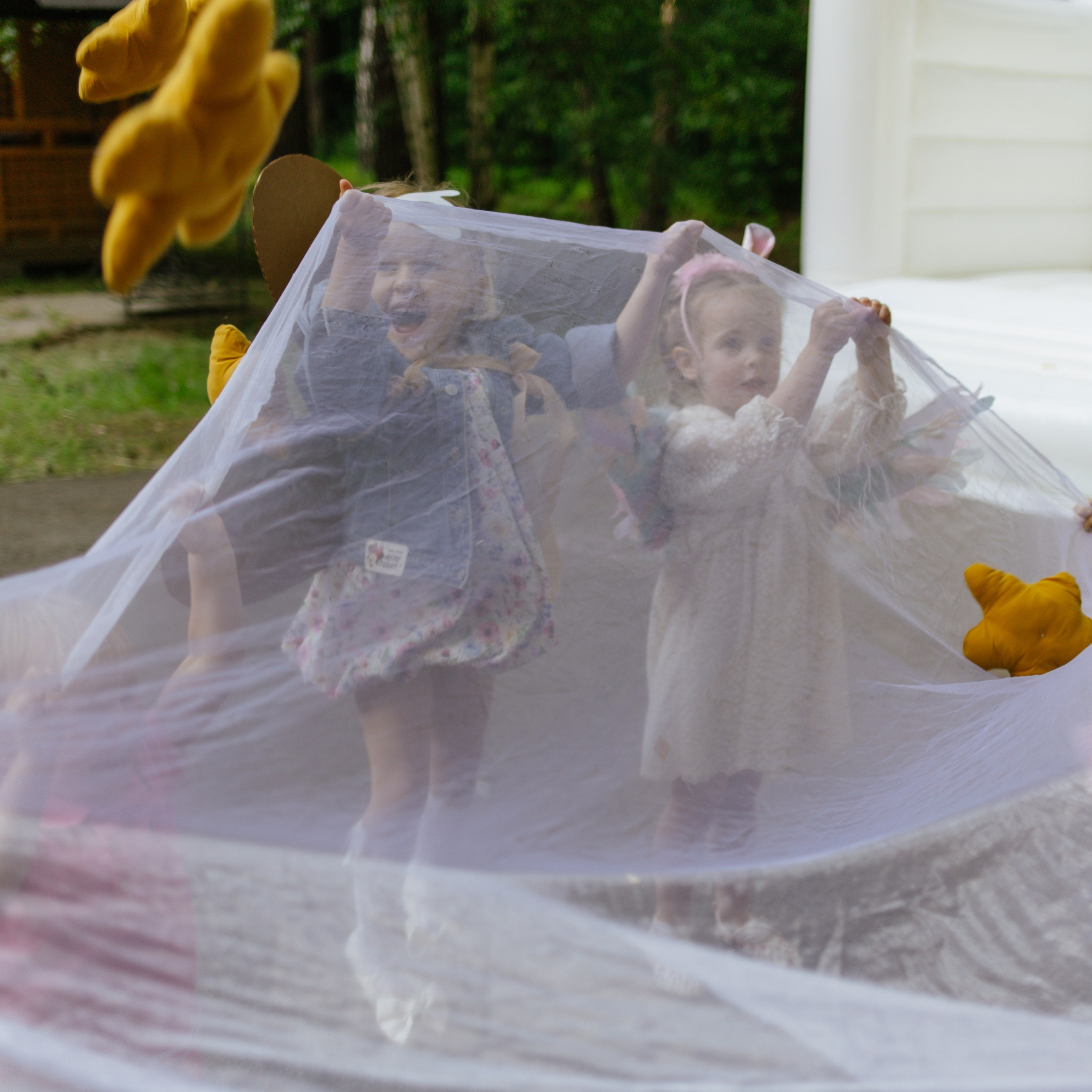 День рождения Вероники 🎂