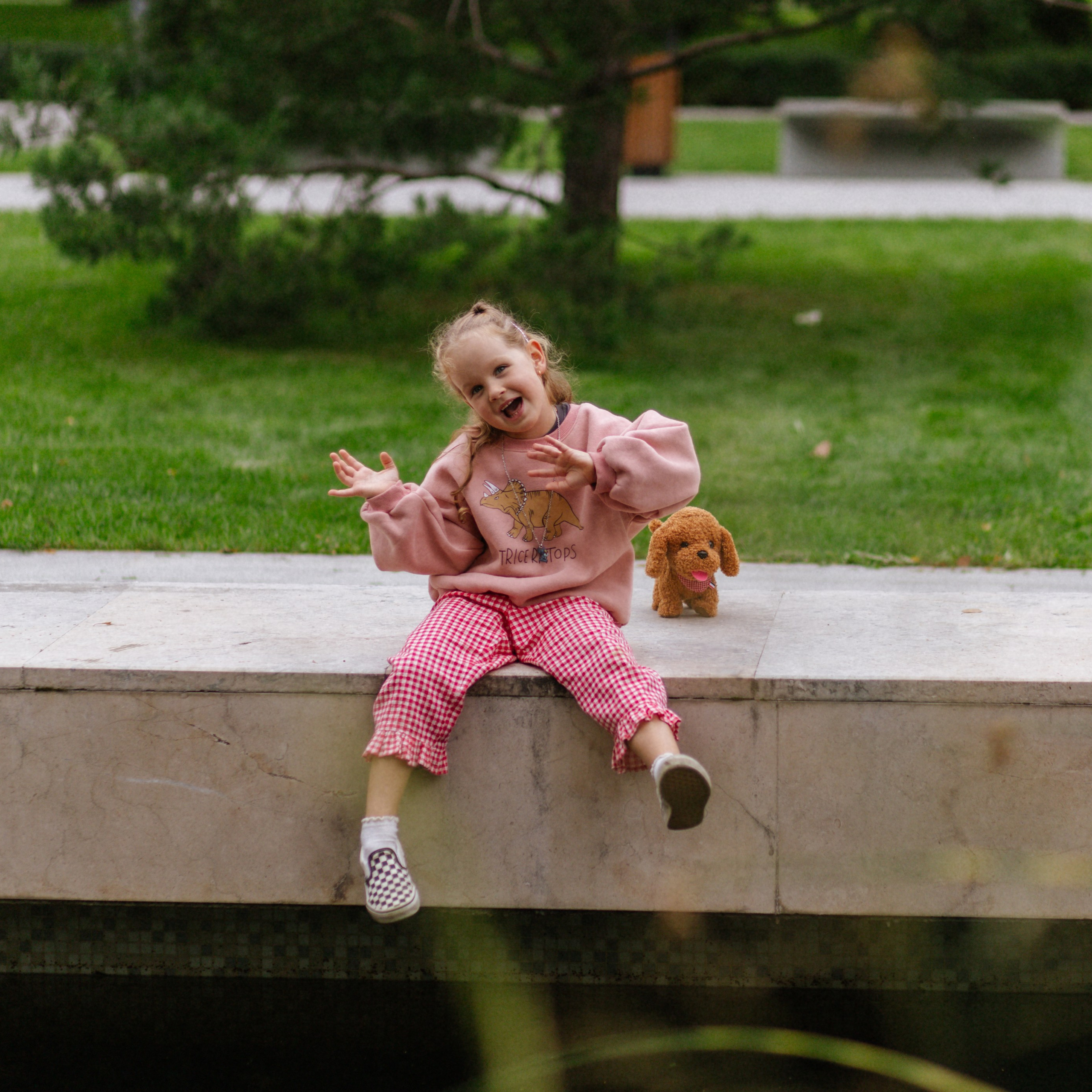 День рождения Василисы (дом, парк)