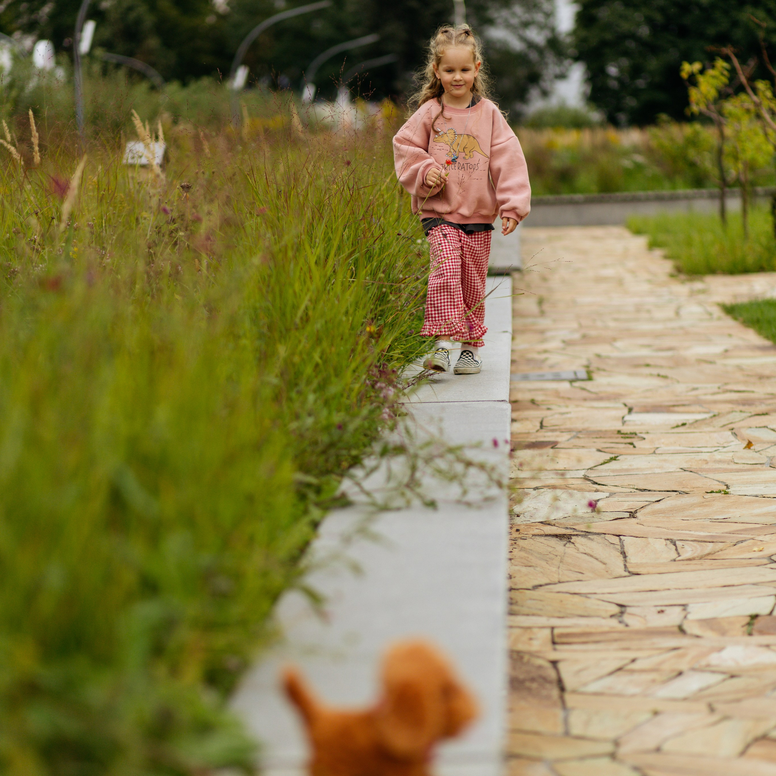 День рождения Василисы (дом, парк)