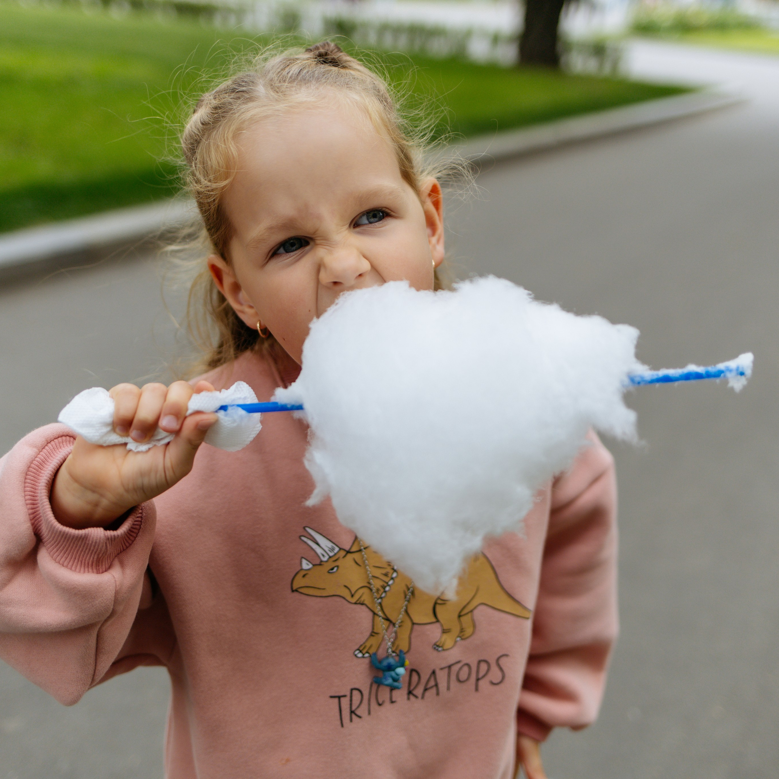 День рождения Василисы (дом, парк)