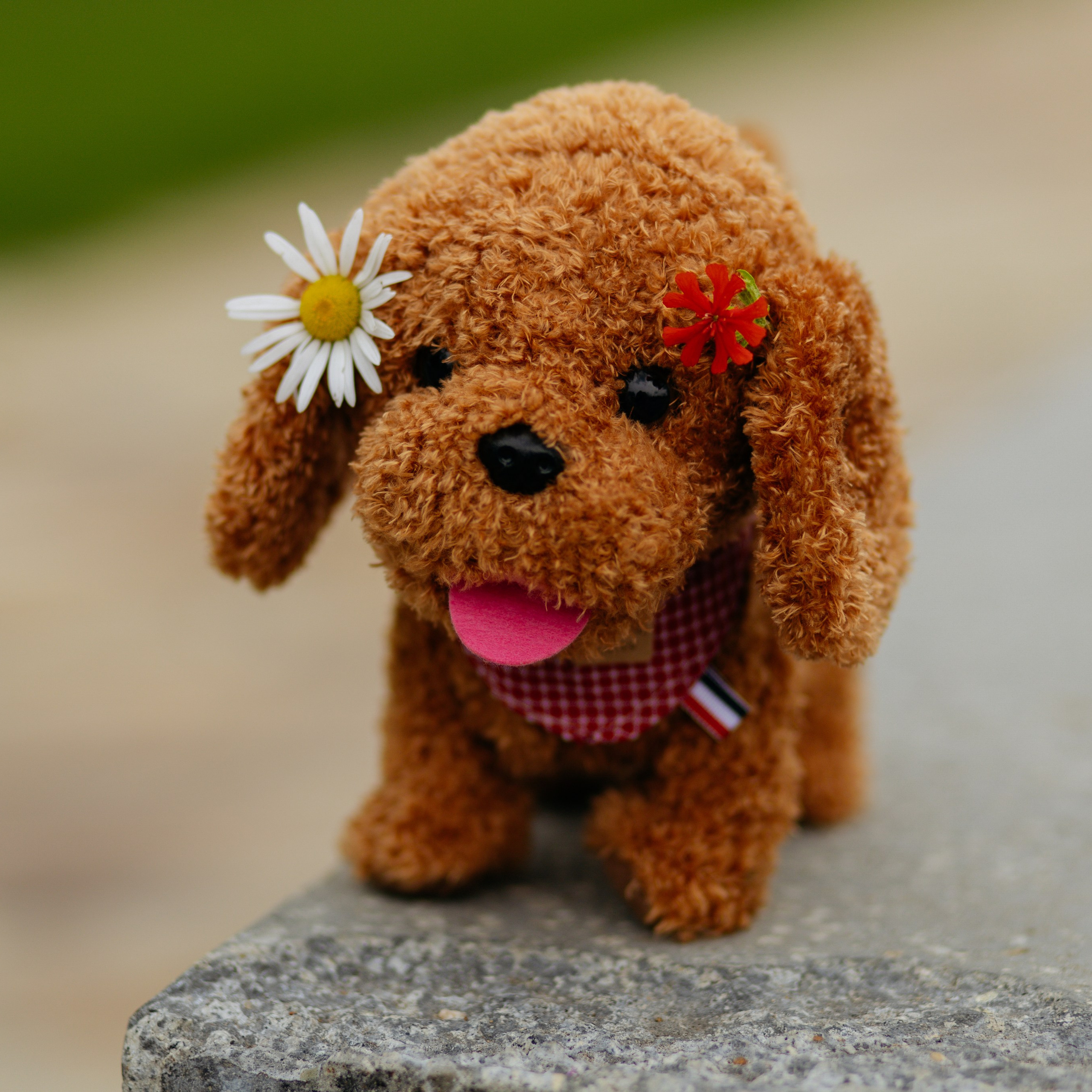 День рождения Василисы (дом, парк)