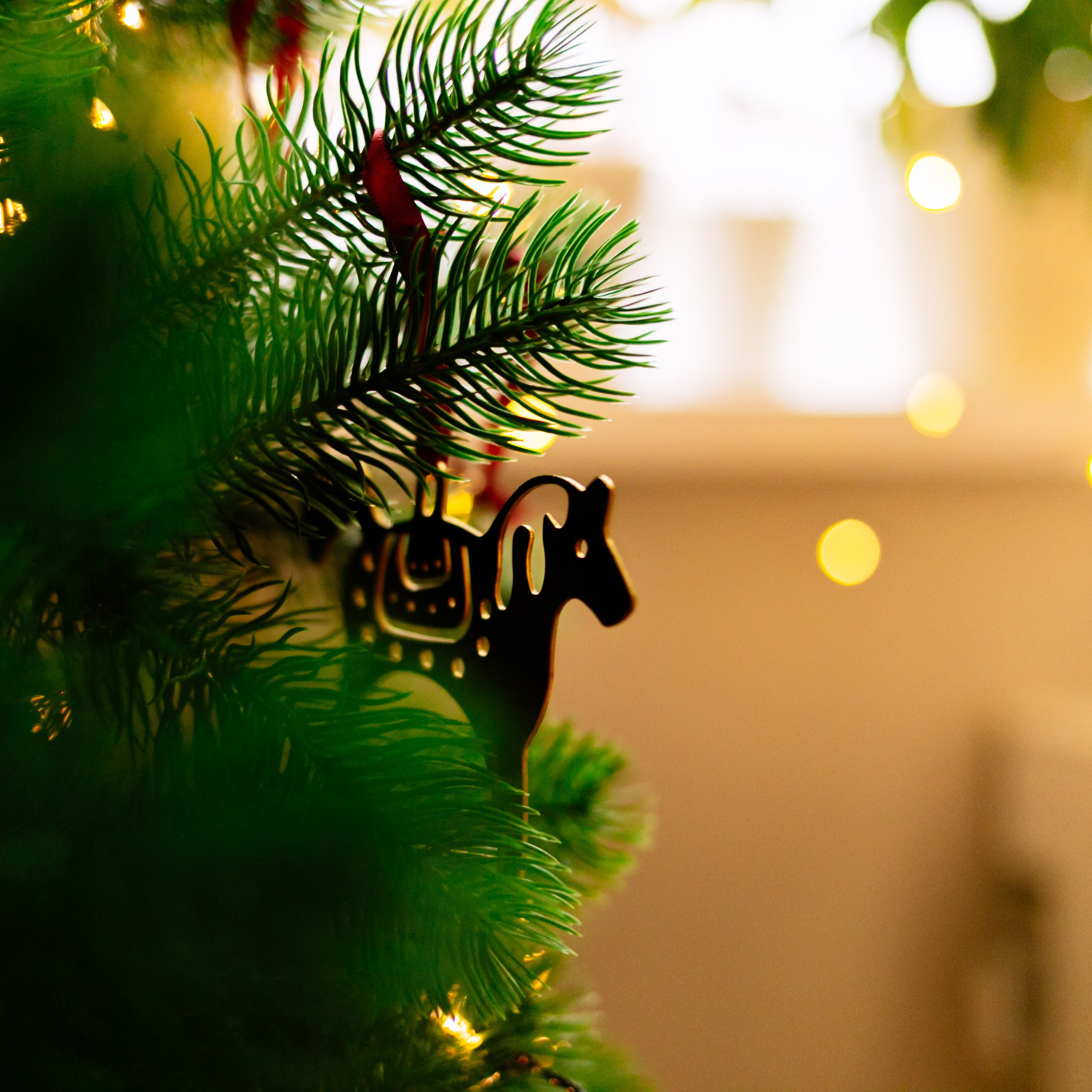 Кирилл, Марина, Саша