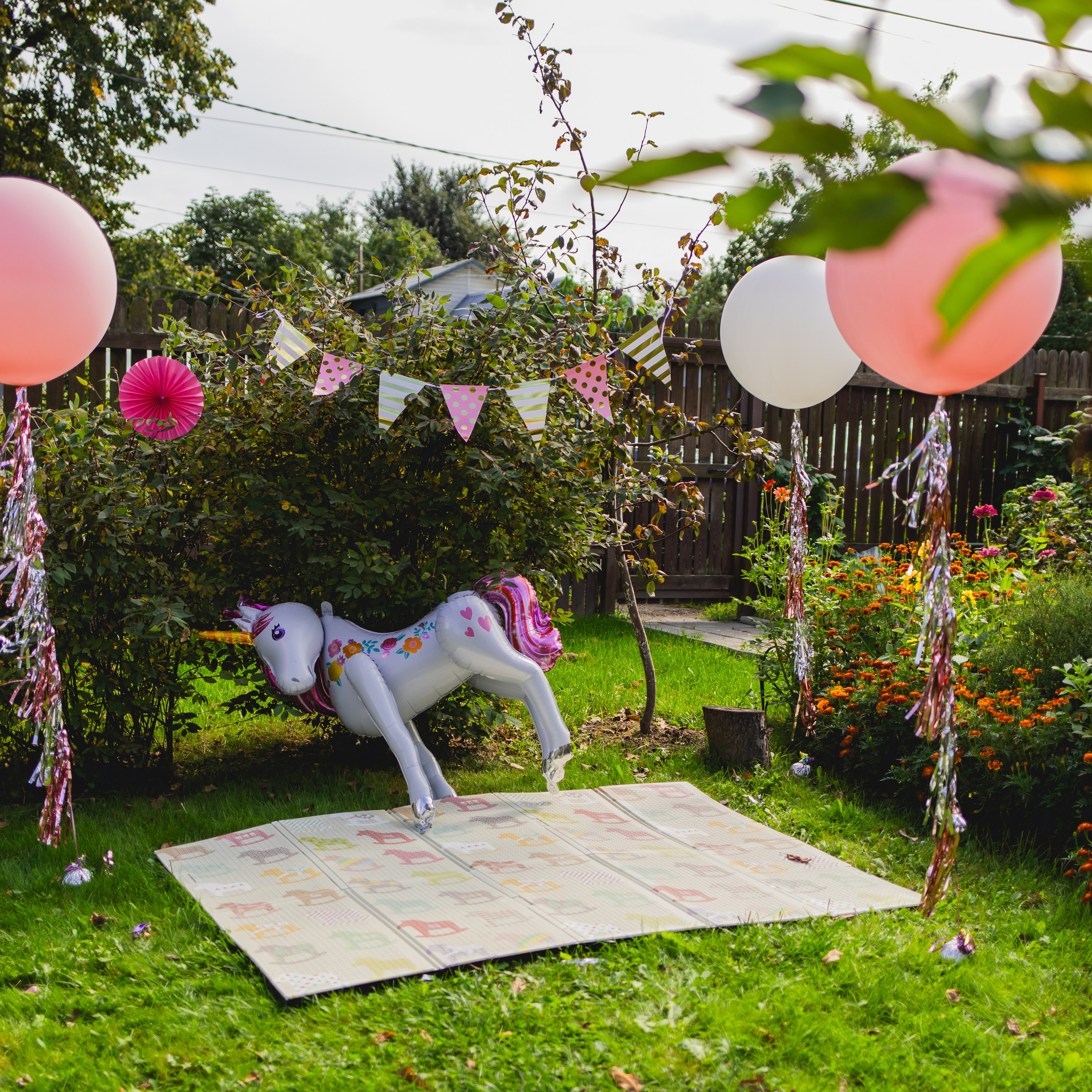 День рождения Элизабет 🎂