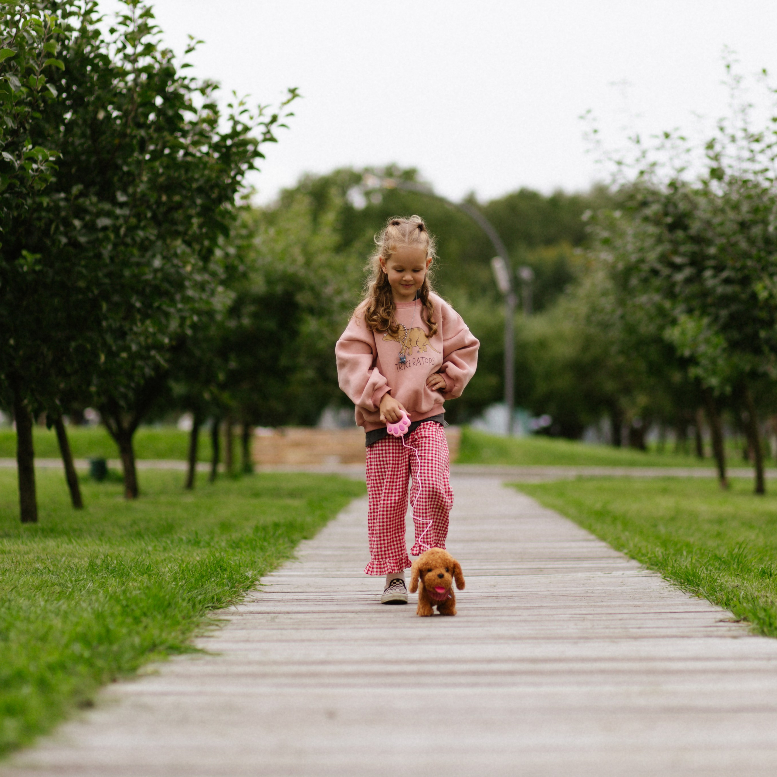 День рождения Василисы (дом, парк)
