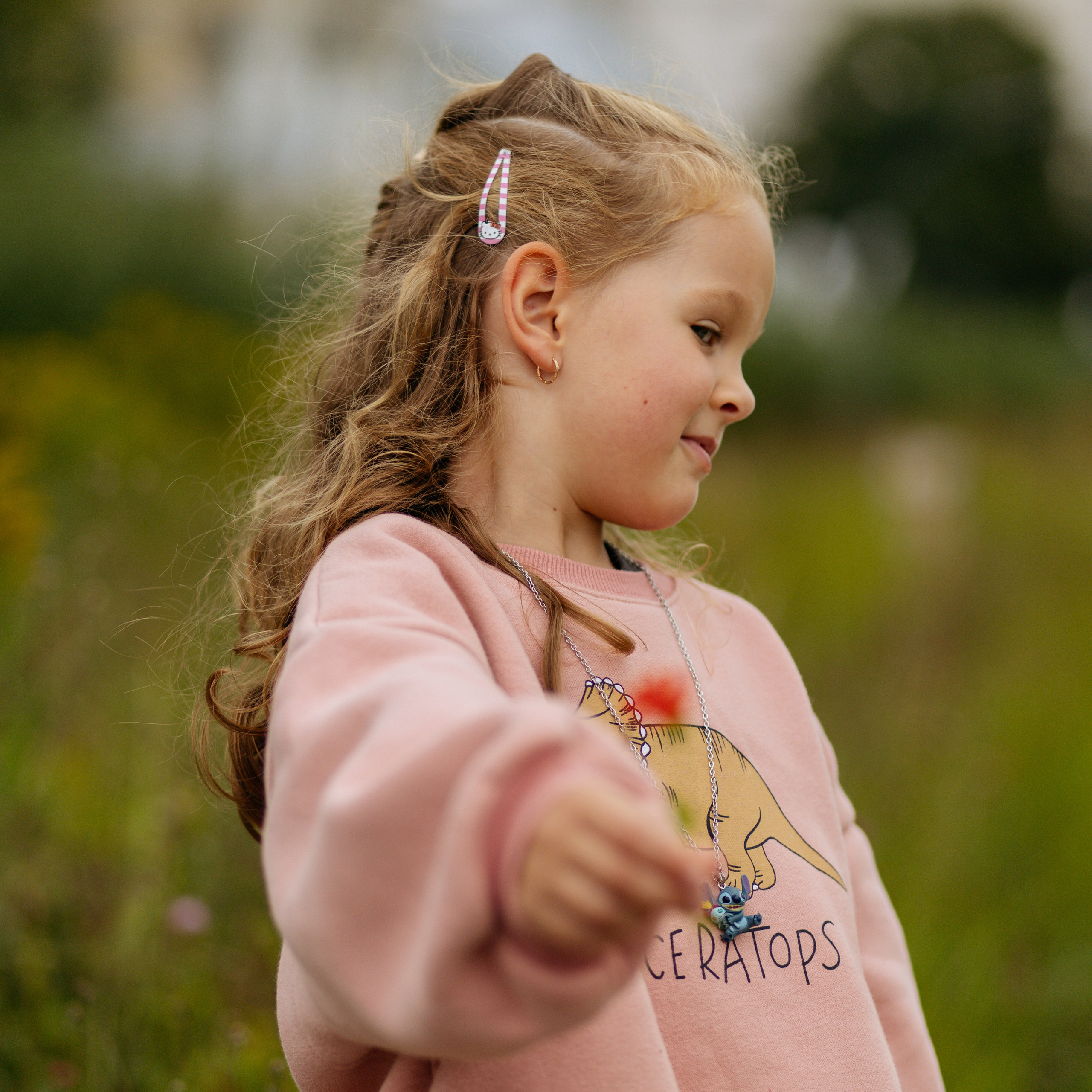 День рождения Василисы (дом, парк)