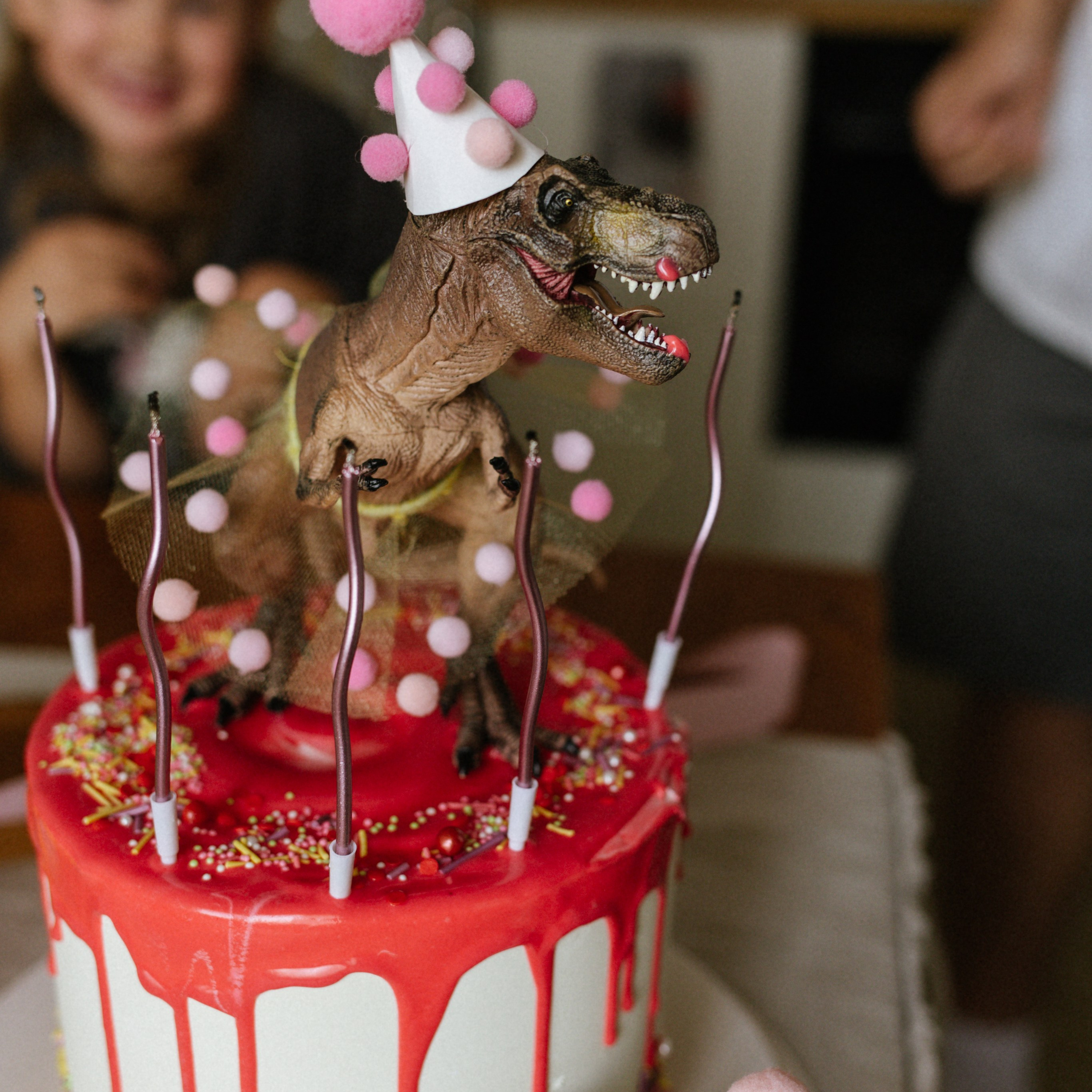 День рождения Василисы (дом, парк)