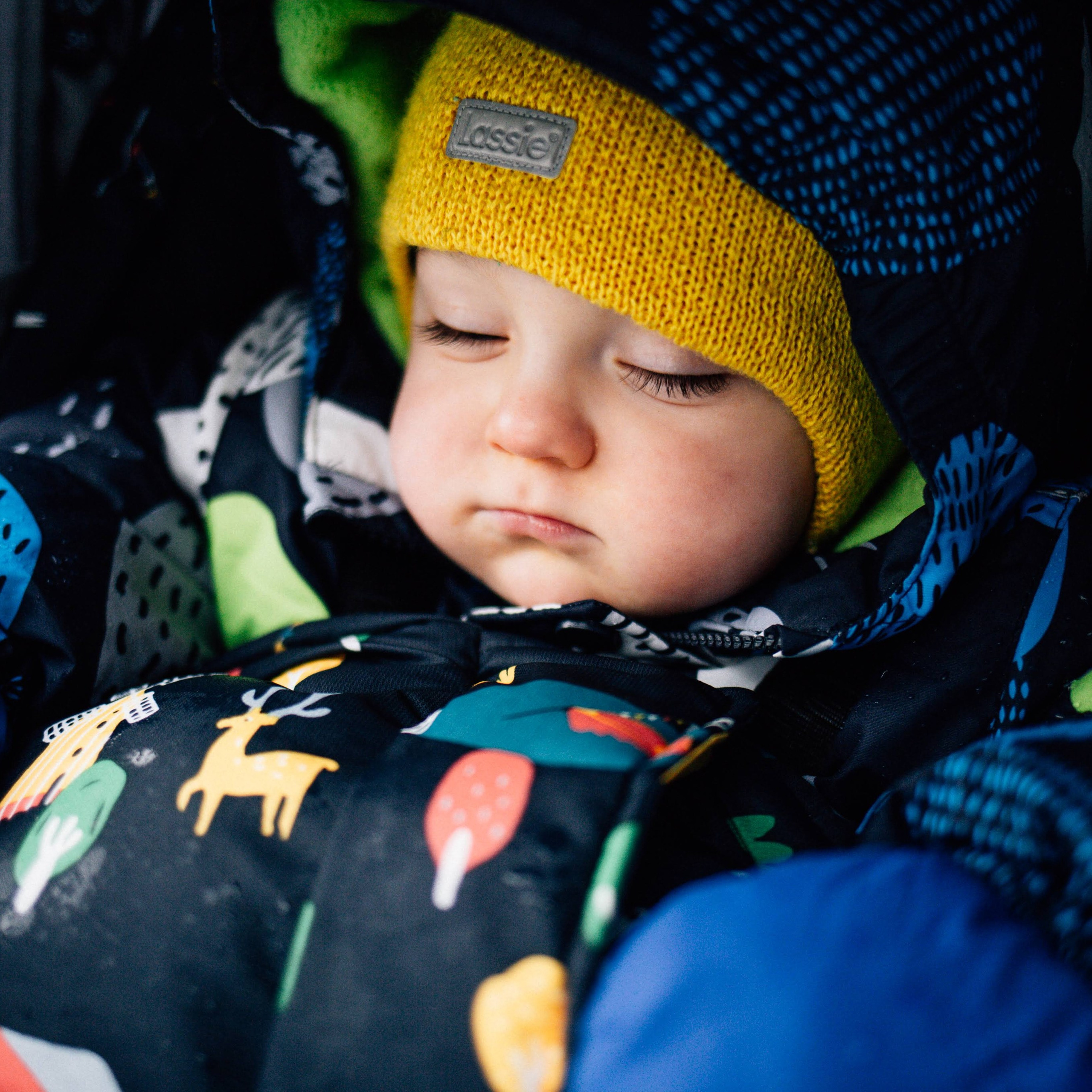 Зимняя прогулка