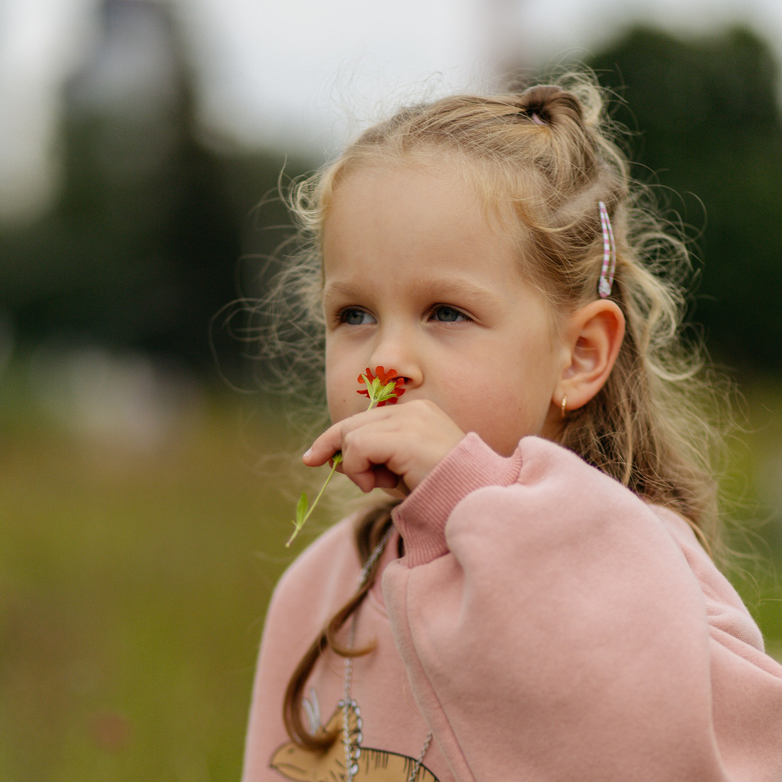 День рождения Василисы (дом, парк)