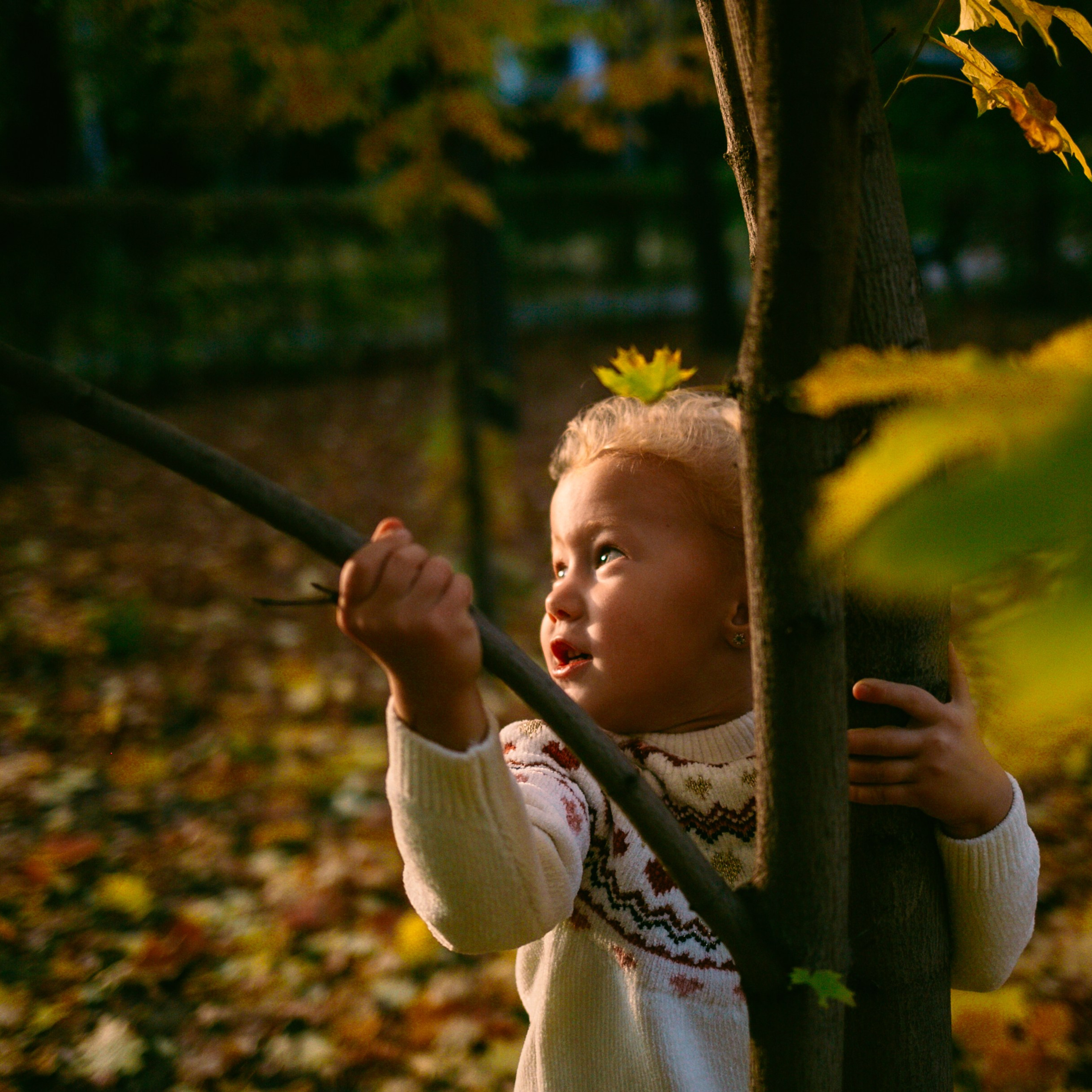 Юля, Анюта, Есения